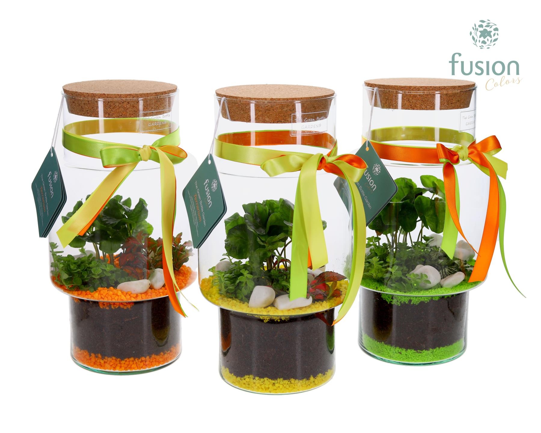Green Bottle Sara Medium met Terrarium Arrangement, D 16