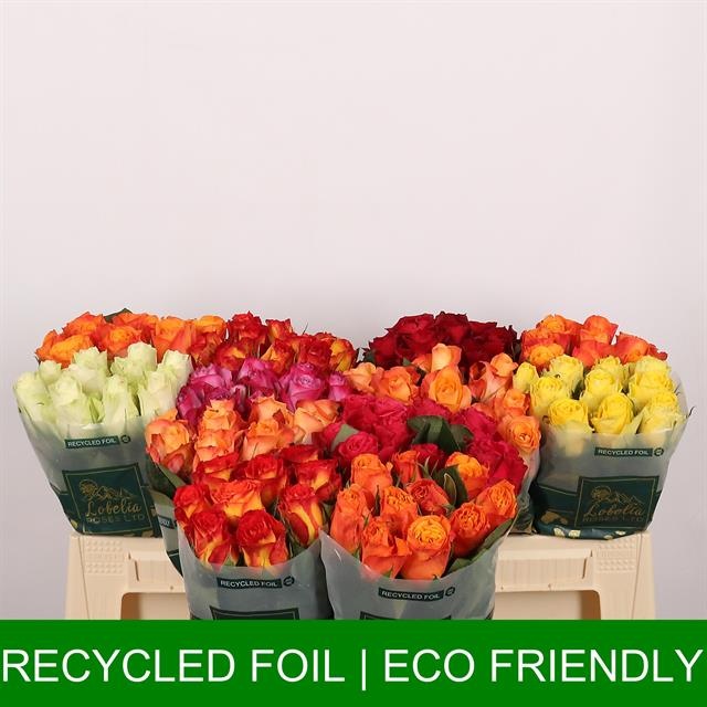 Роза од. Микс в баке 40, шт.