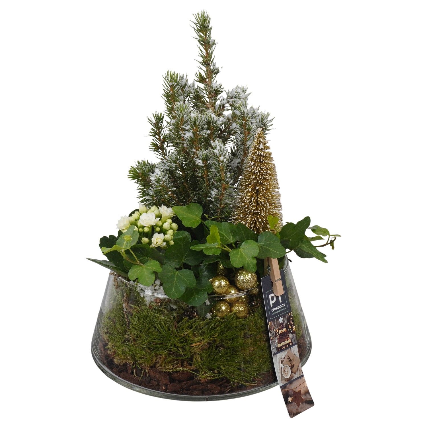 PTCHG5761 Arrangement Christmas Gold in glazen pot, D 18 cm
