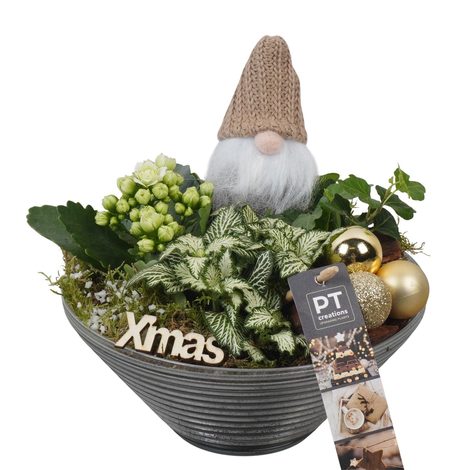 PTCHG5712 Arrangement Christmas Gold in glas schaal, D 19 cm