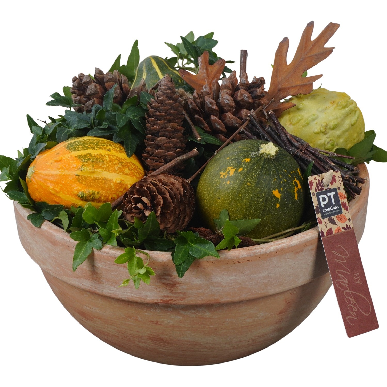 PTSF8232 Arrangement Kalebas hedera in terracotta schaal, D 26 cm