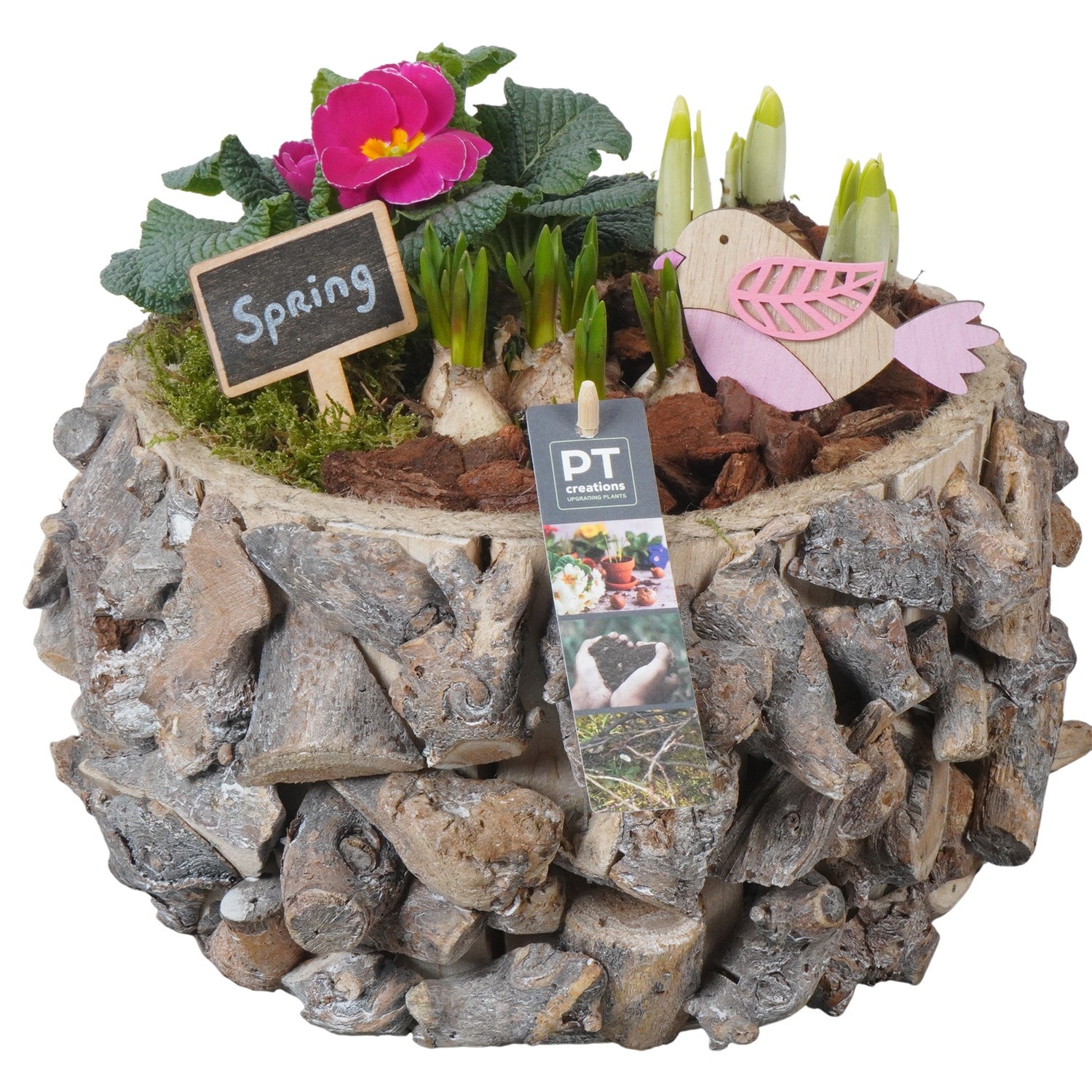 PTBM3907 Arrangement Flower Bulbs Mix in houten pot, D 25