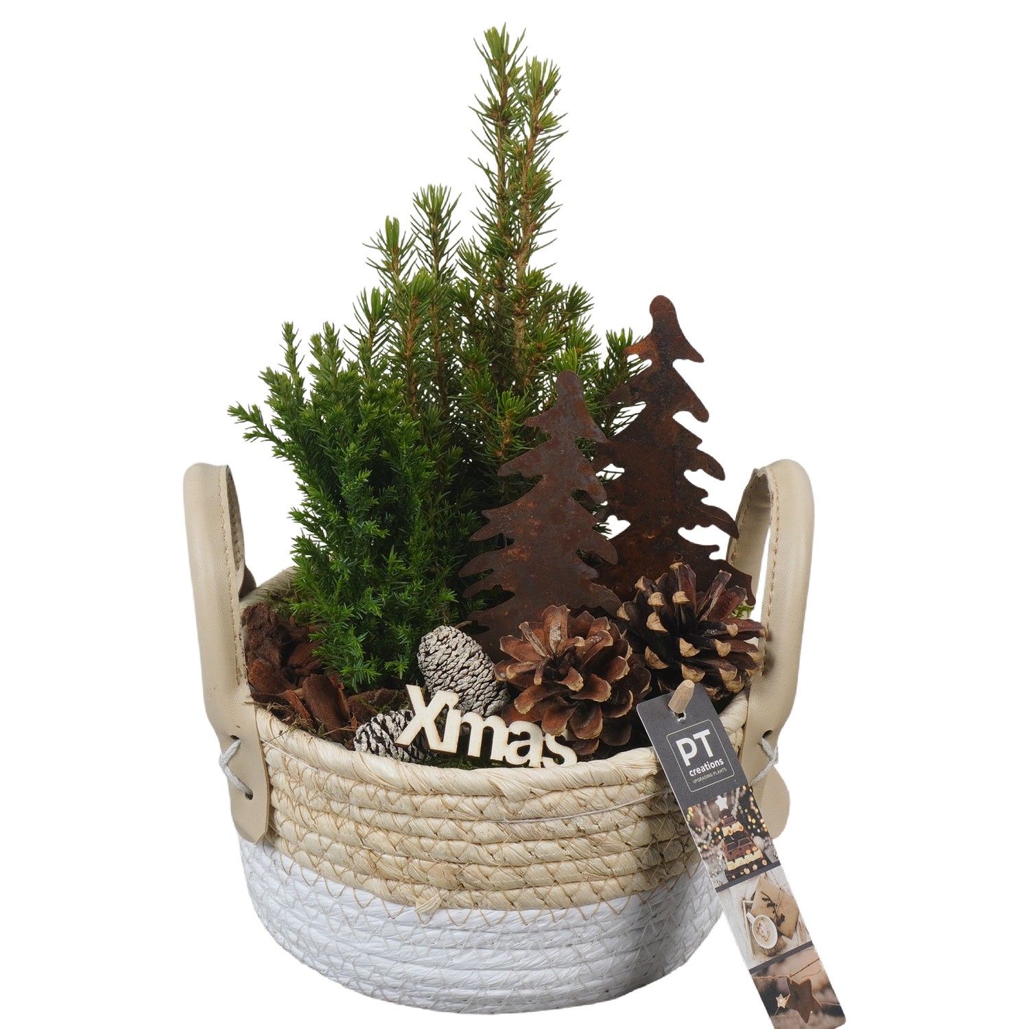 PTCWW6884 Arrangement Winter in rieten mand, D 17 cm