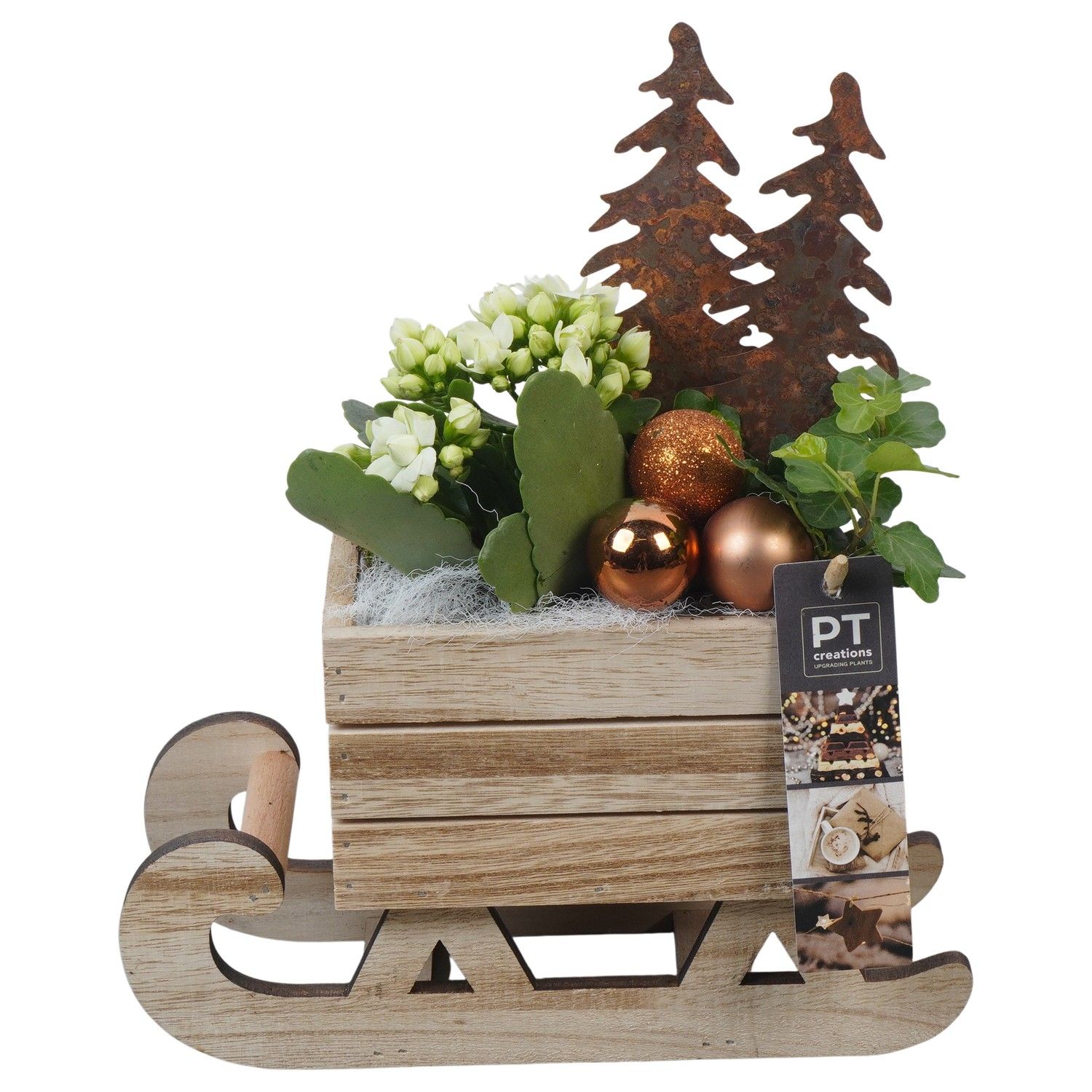 PTCHB9817 Arrangement Christmas Bronze in houten slee, D 24 cm