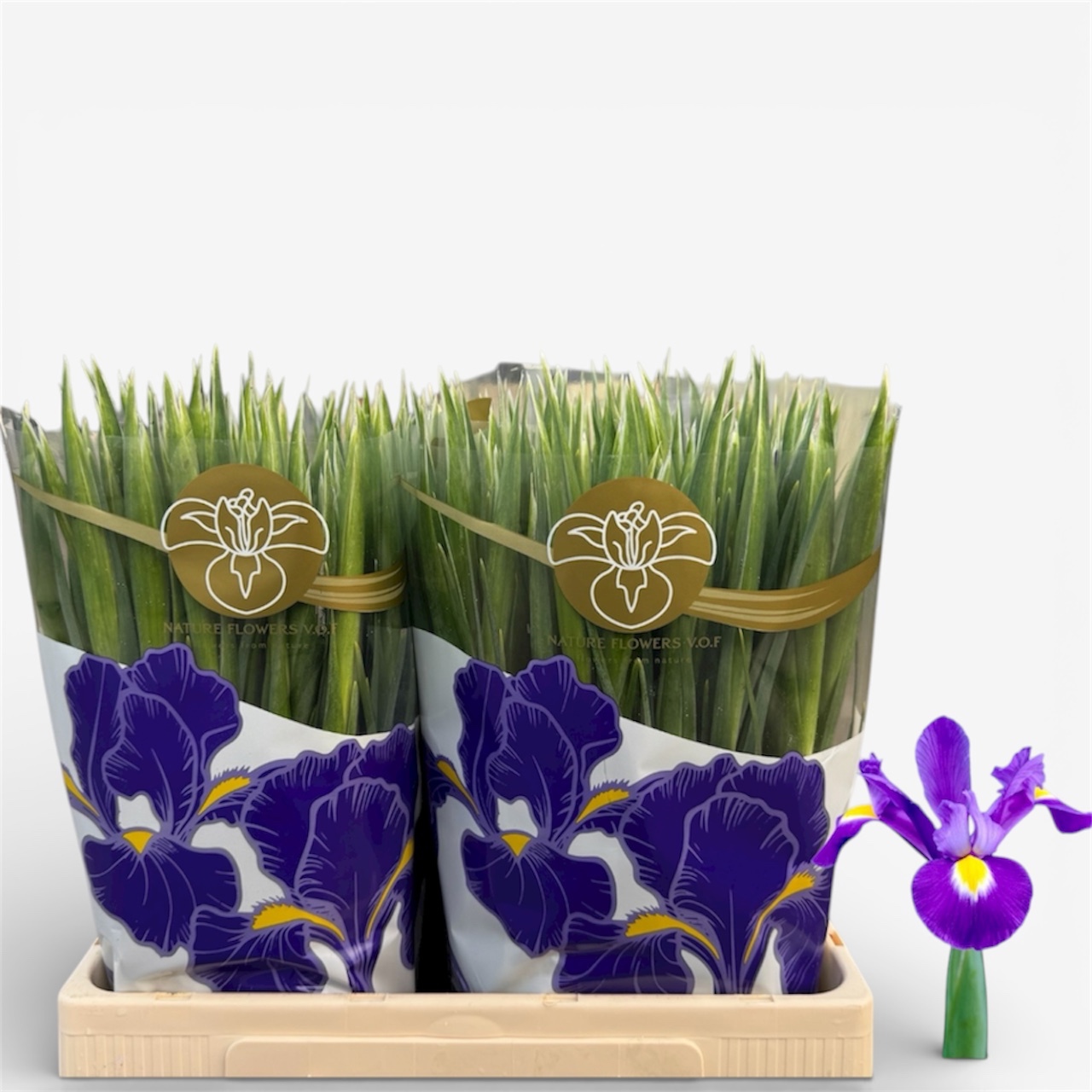 Ирис Блю Мэджик (син.), шт.