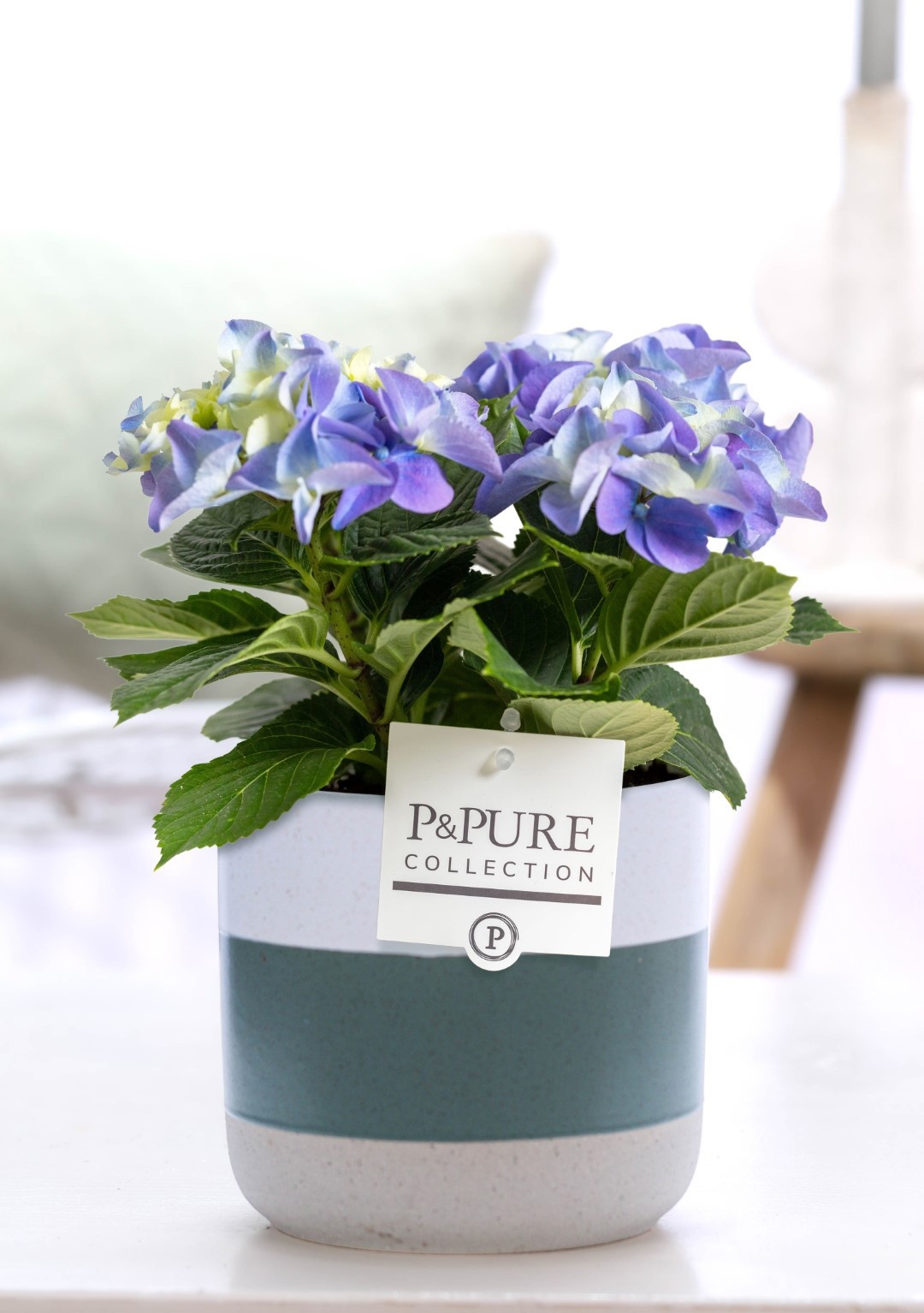Hydrangea blue in P&PURE Lauren ceramics, D 10