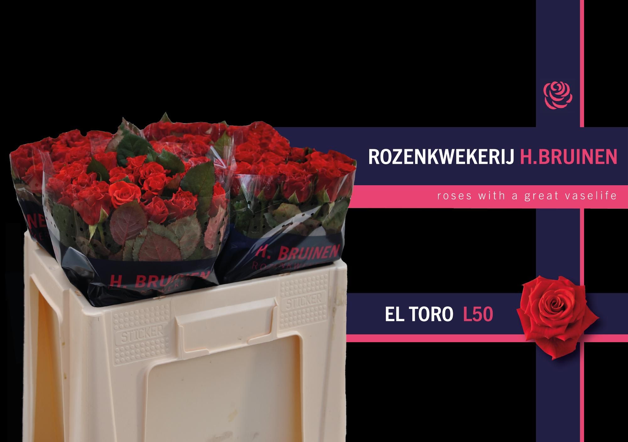 Роза од. Эль Торо 50, шт. Роза од. Эль Торо 50, шт.