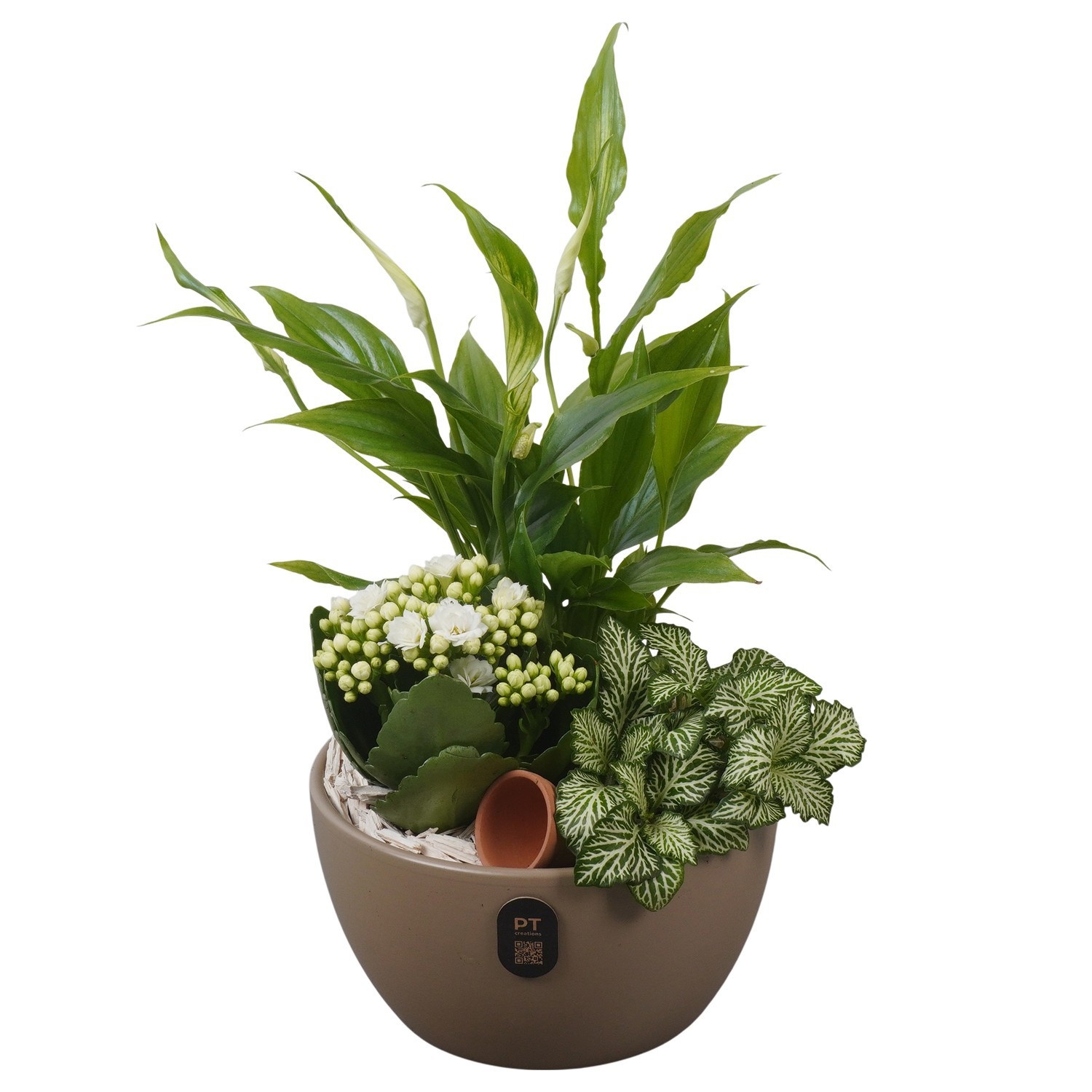 PTIB5161 Arrangement Indoor in keramiek schaal, D 15