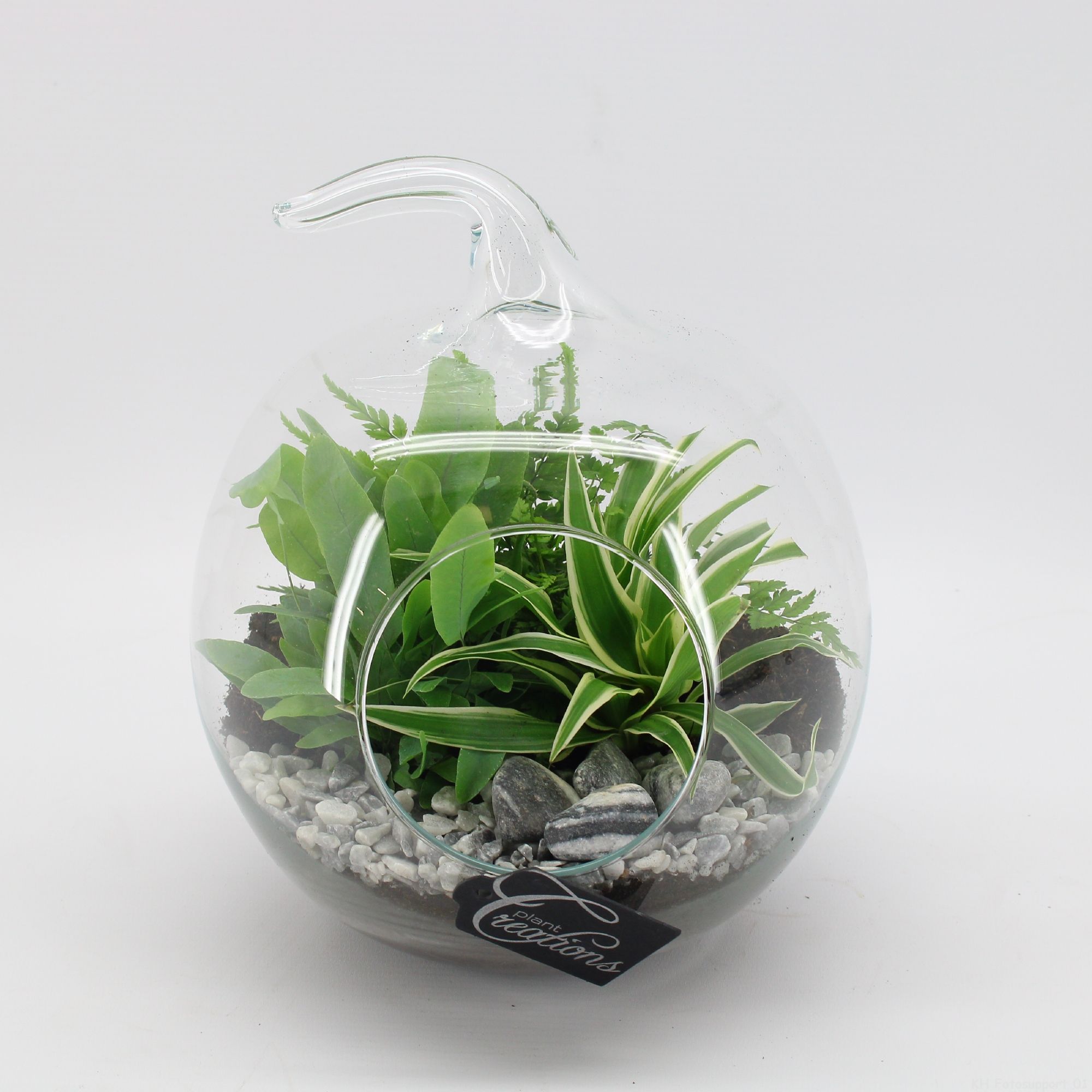 GRCR-2542 Green Essentials Terrarium, D 20 cm