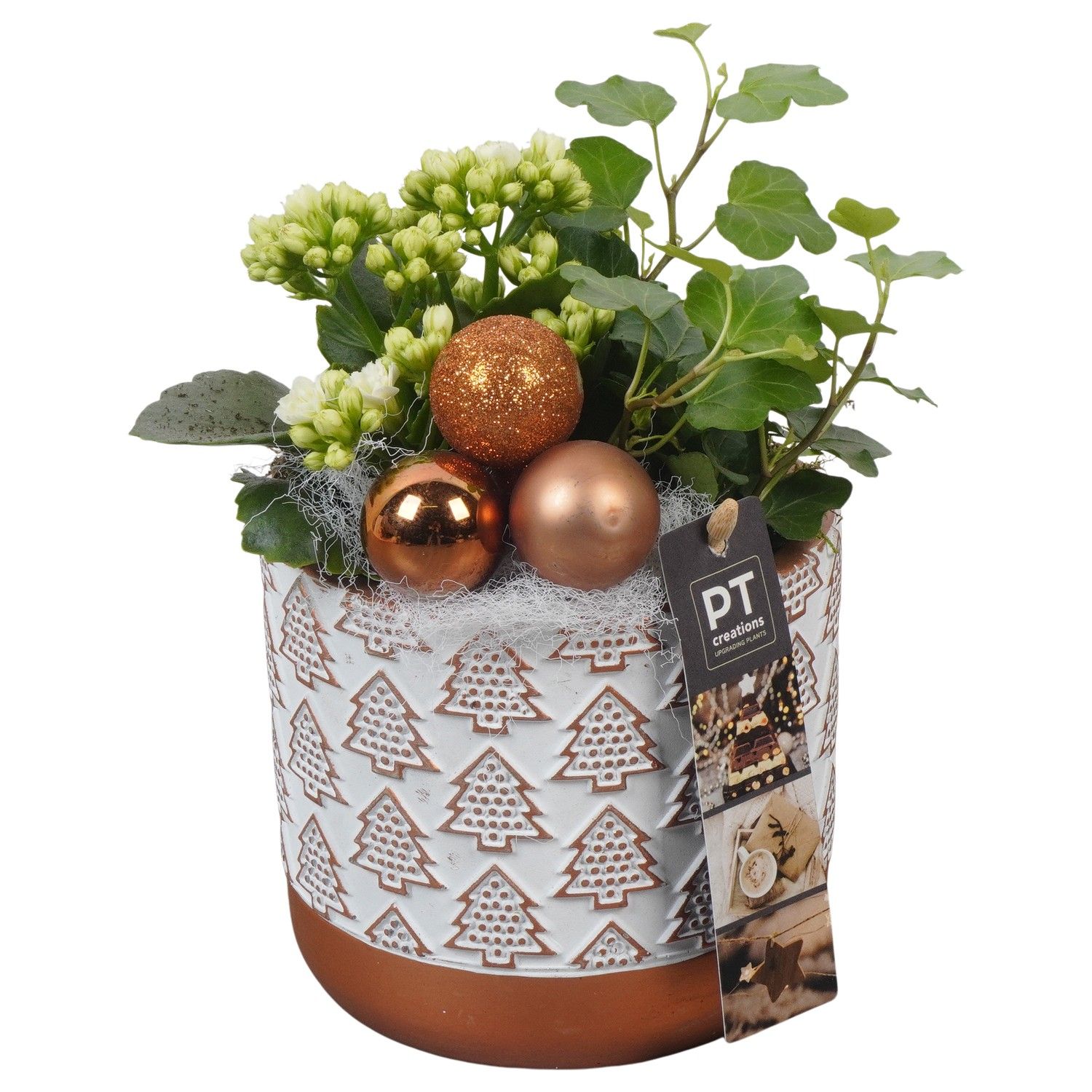 PTCHB9765 Arrangement Christmas Bronze in beton pot, D 13 cm