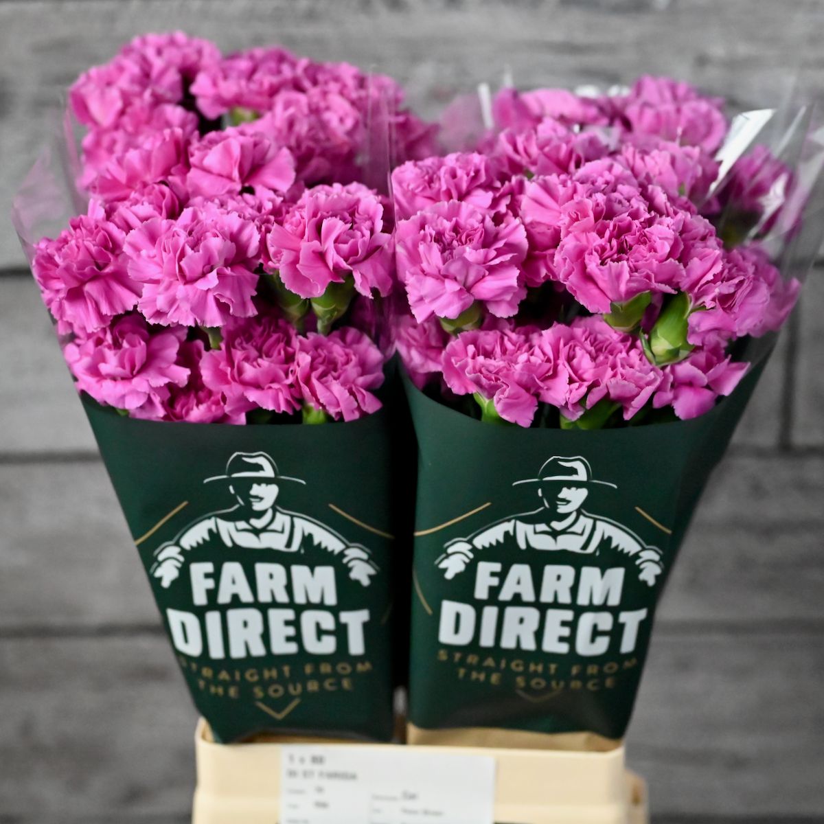 Диантус од. Типоло Фуксия, шт.