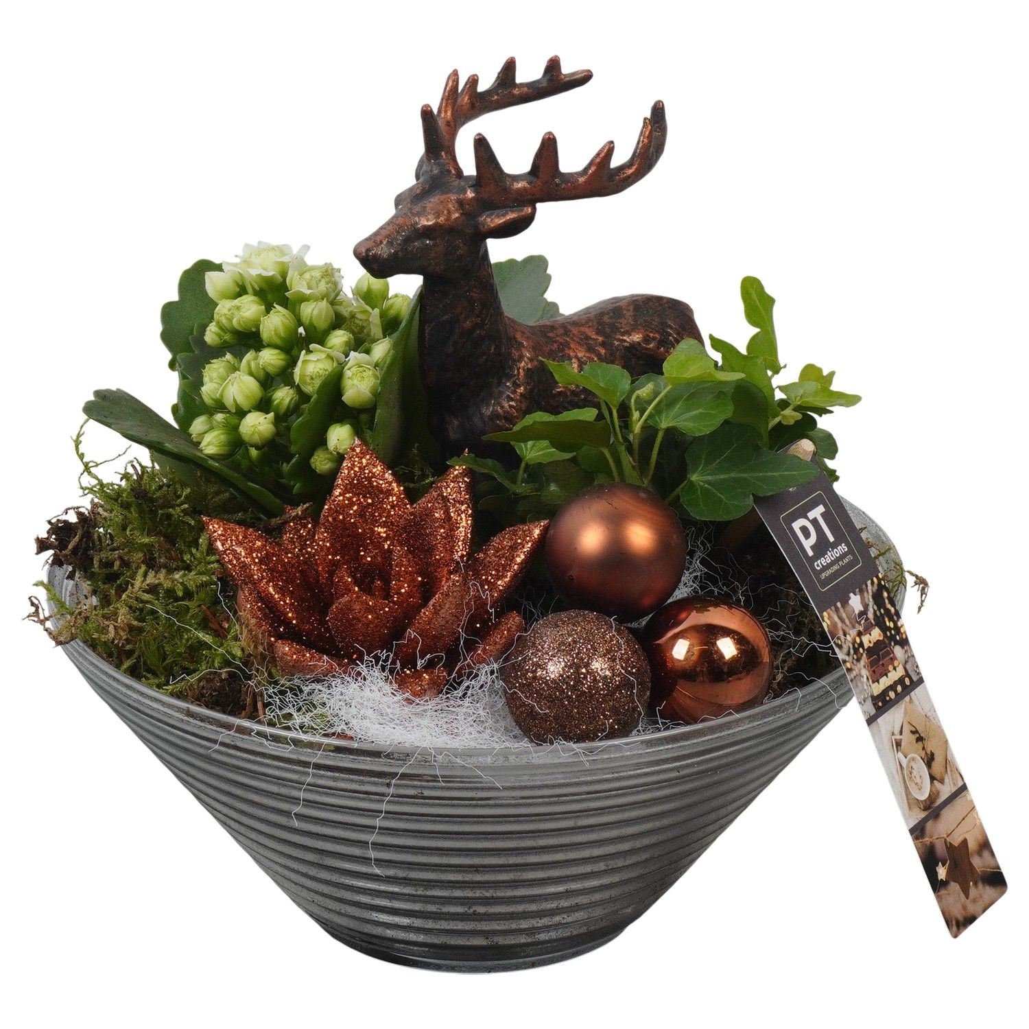 PTCHB9828 Arrangement Christmas Bronze in glas schaal, D 19 cm