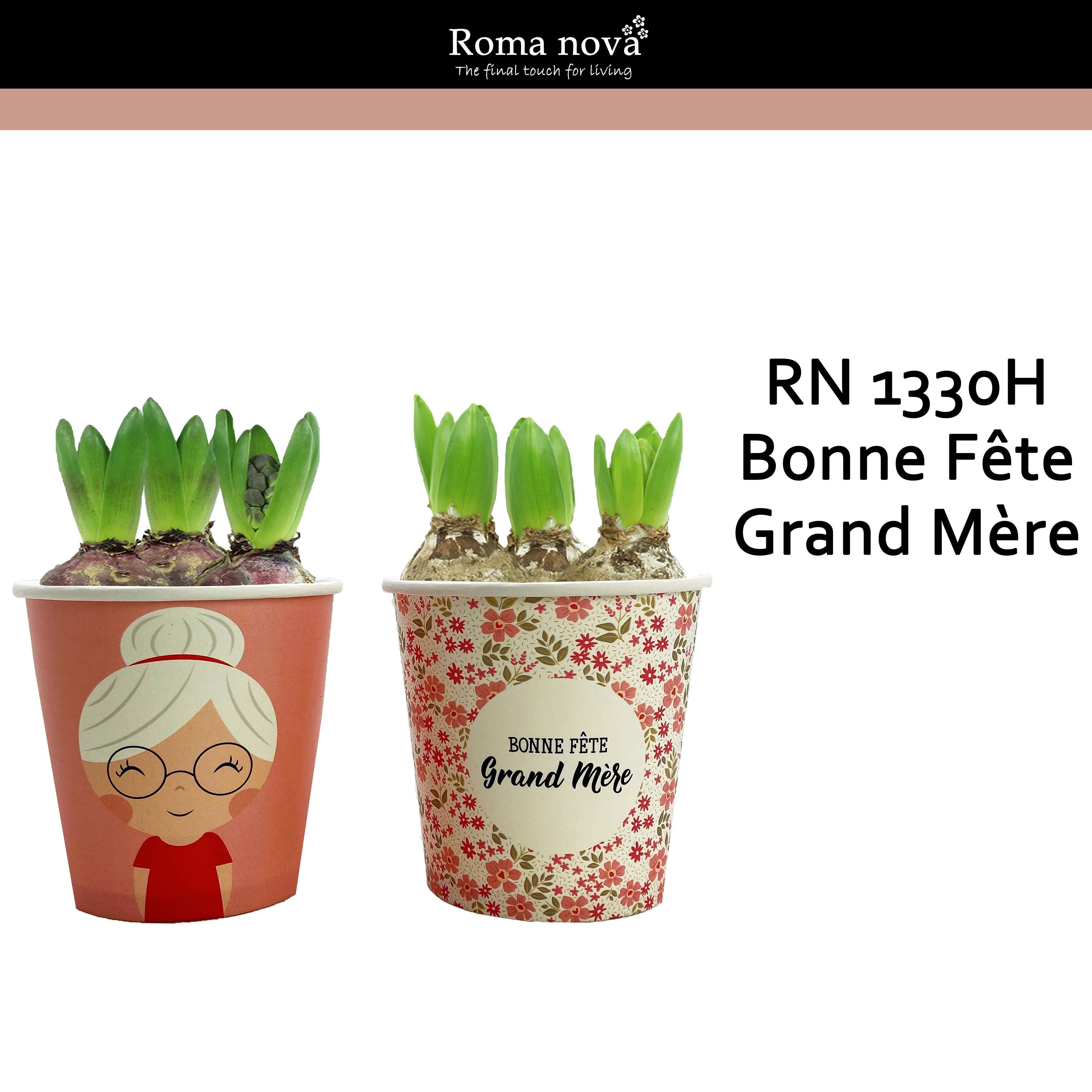 1330H - Bonne Fête Grand Mère P12 (Hyacint), D 12 cm