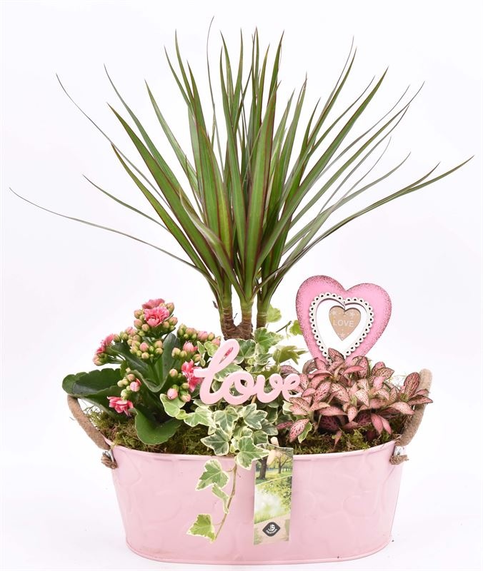 Zink ovaal roze hart decor 28x15cm, D 28