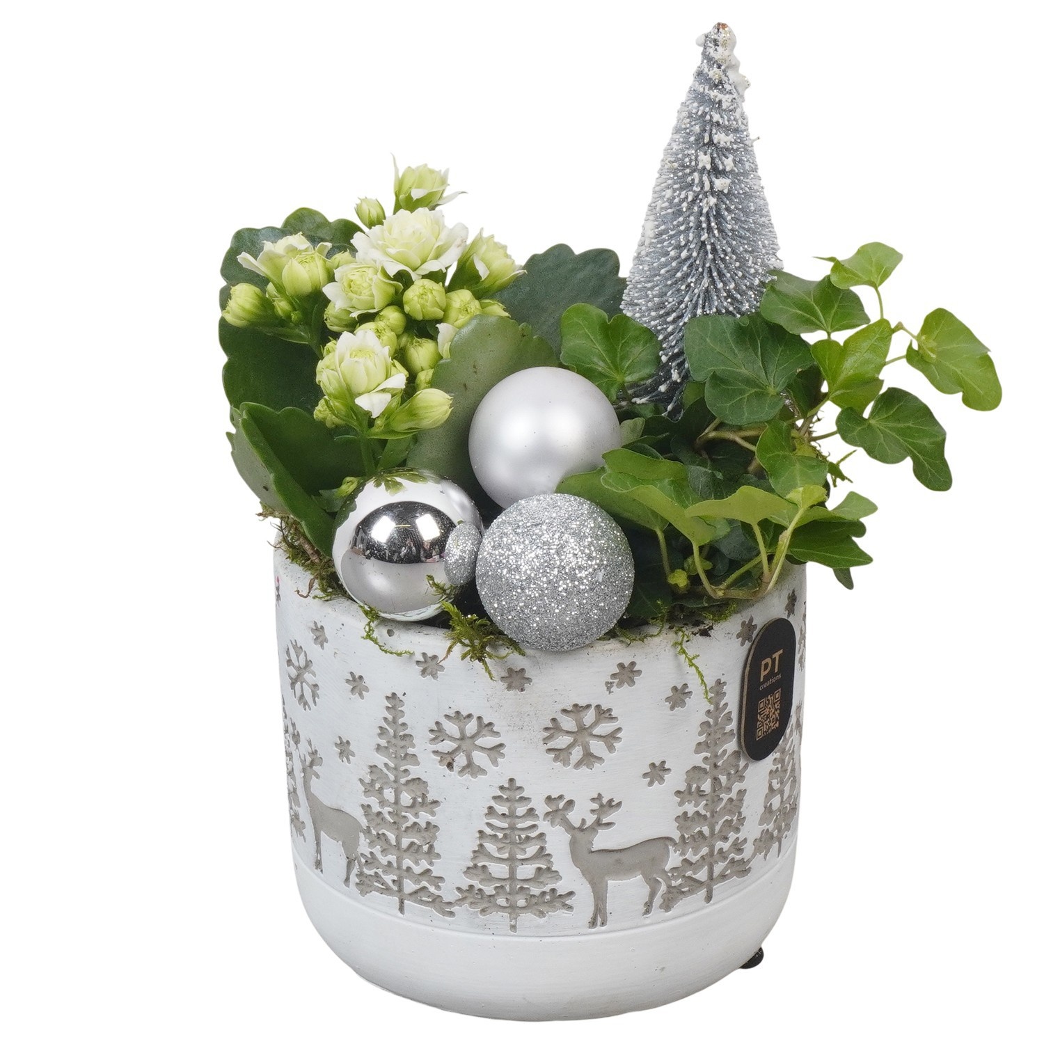 PTCHW7958 Arrangement Christmas White in beton pot, D 11