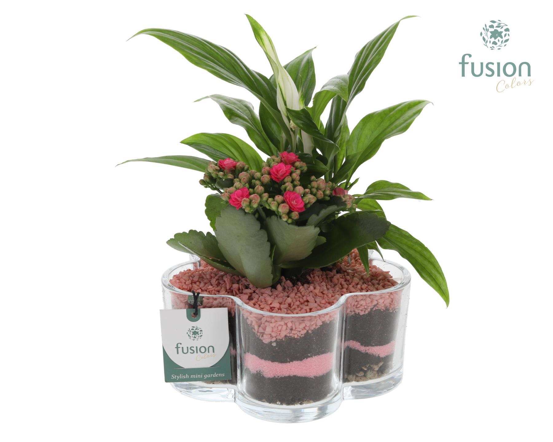 Glazen Bloemschaalmet arrangement, D 18