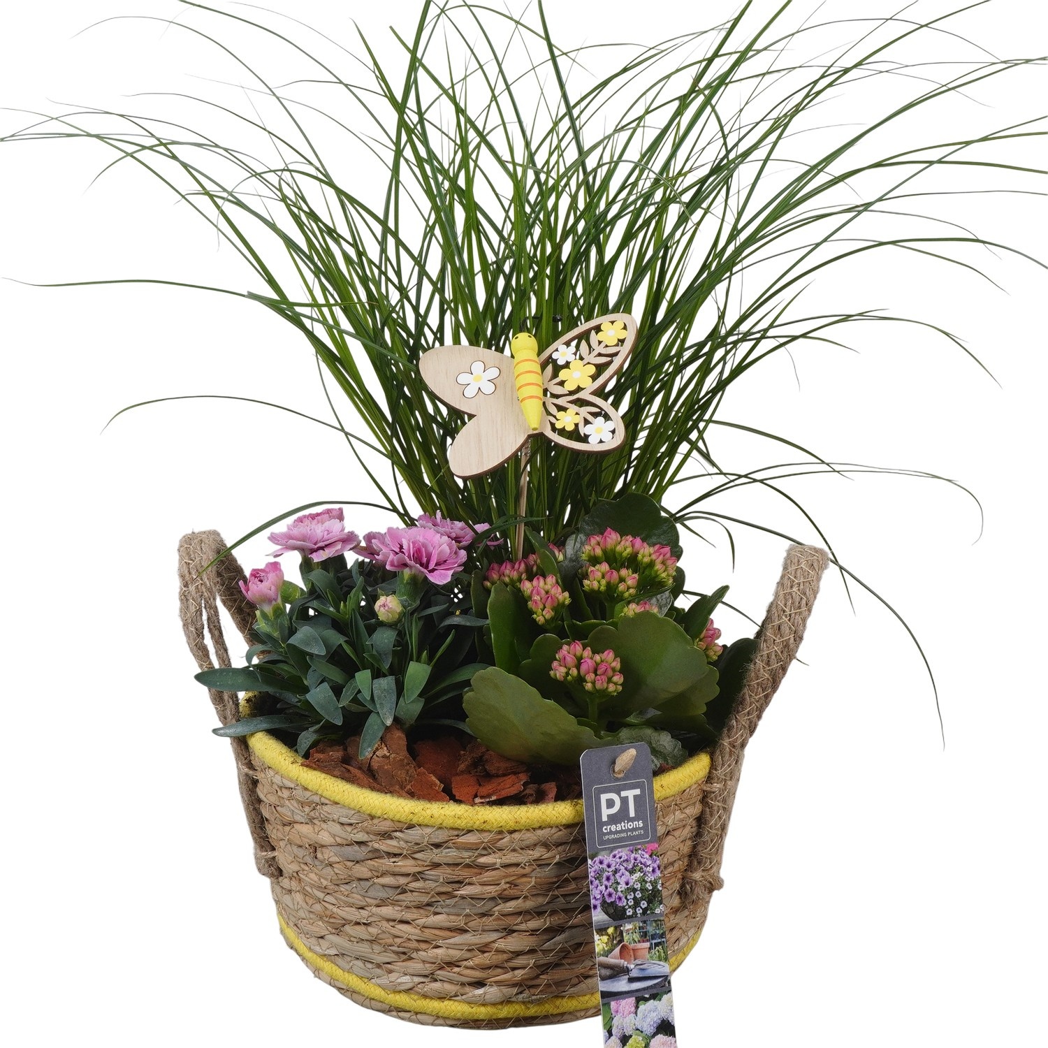 PTPP6943 Arrangement Patio in rieten mand, D 18