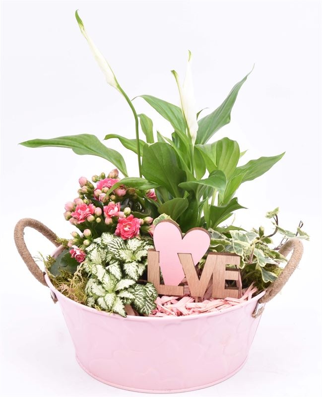 Zink schaal roze hart 25cm, D 25 cm