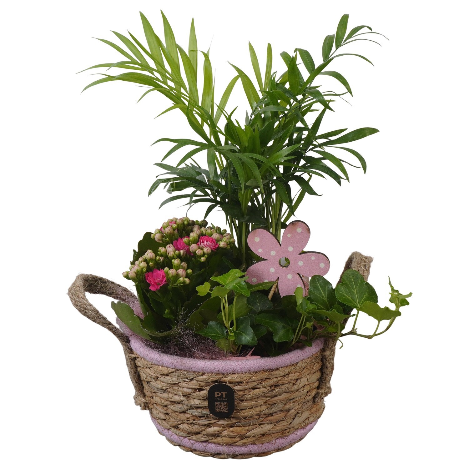 PTIB5237 Arrangement Indoor in rieten mand, D 15