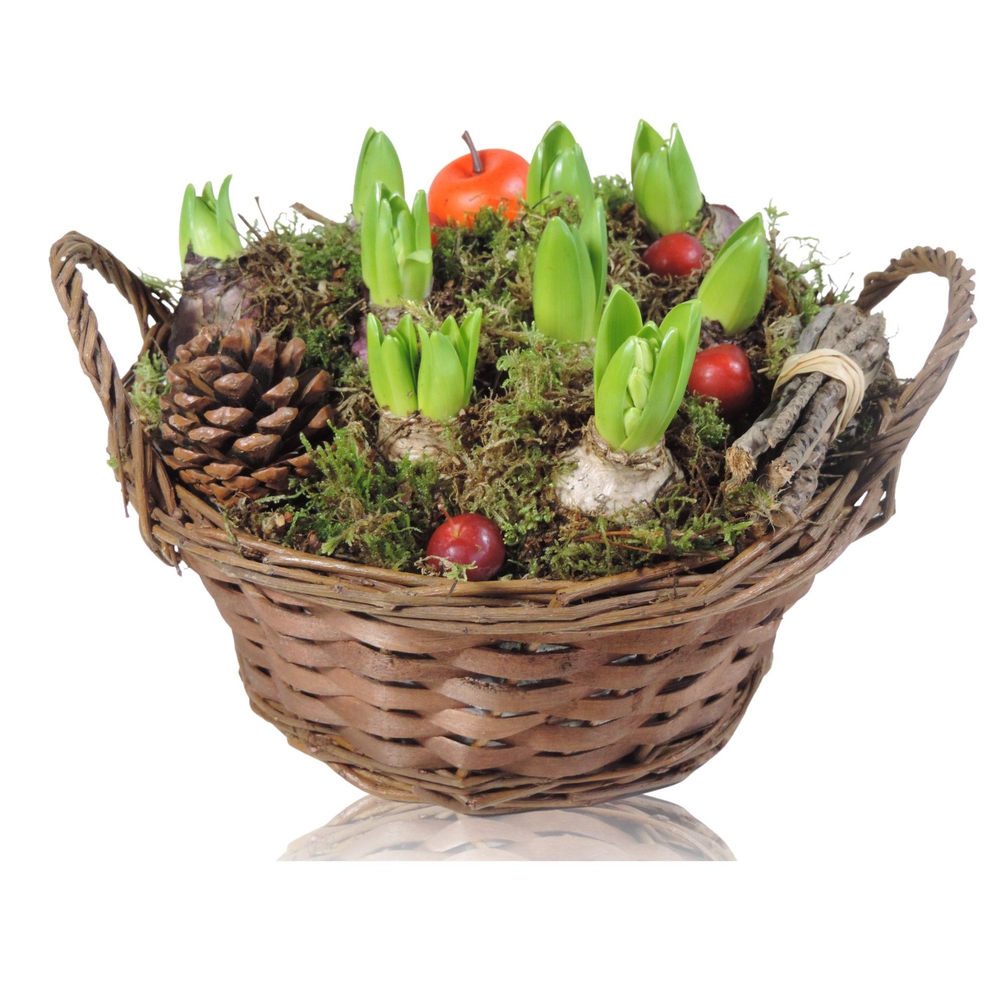 Collectie Hanoi Hyacint in Mand 25 cm, D 25