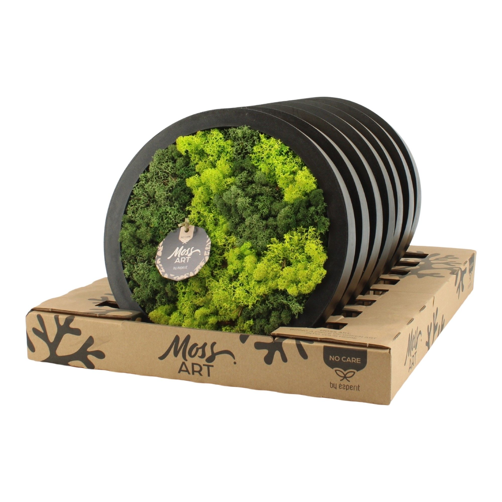 90931: Moss Art Round D27, D 27