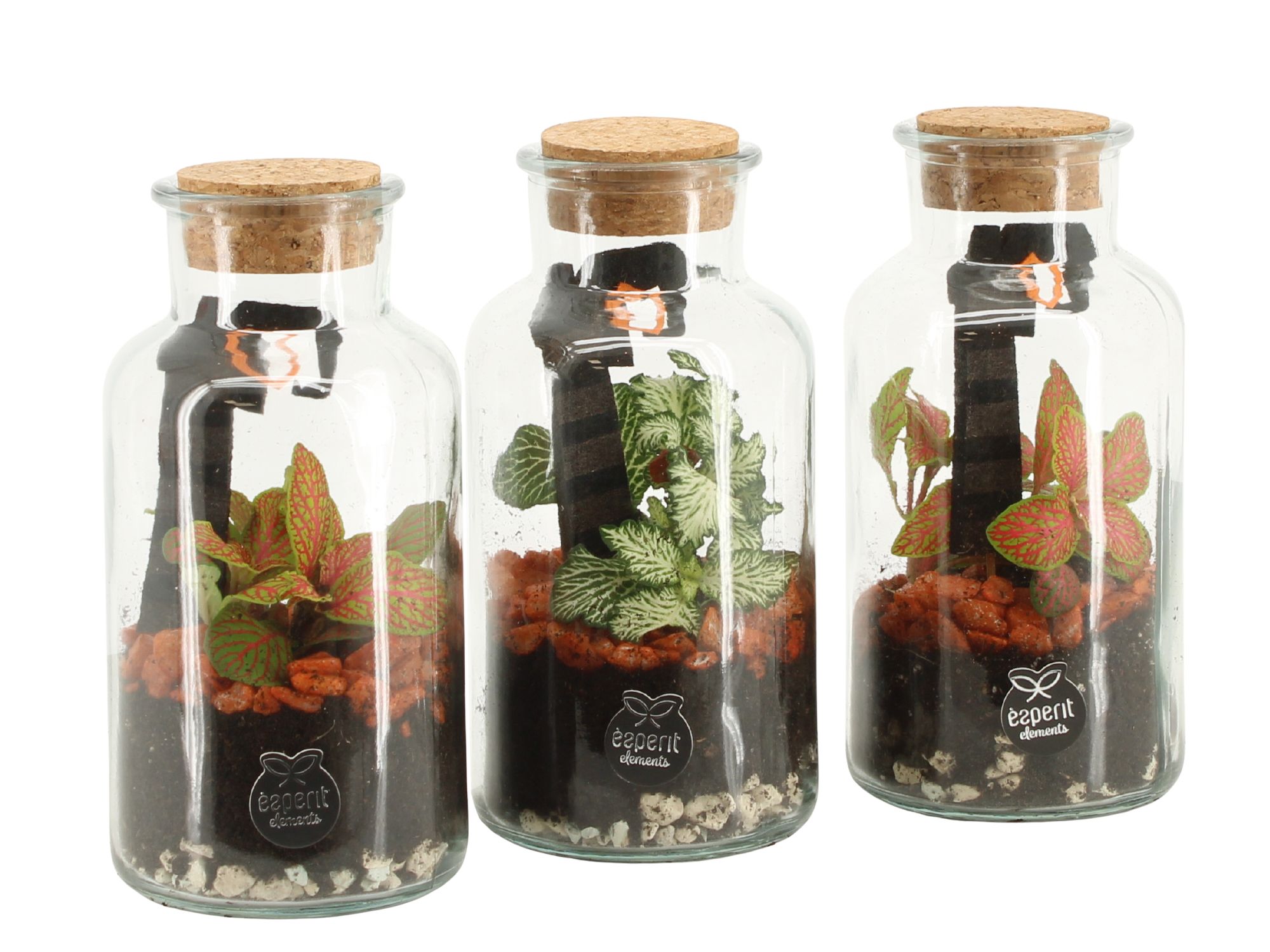 83284: Halloween terrarium, D 8 cm 83284: Halloween terrarium, D 8 cm