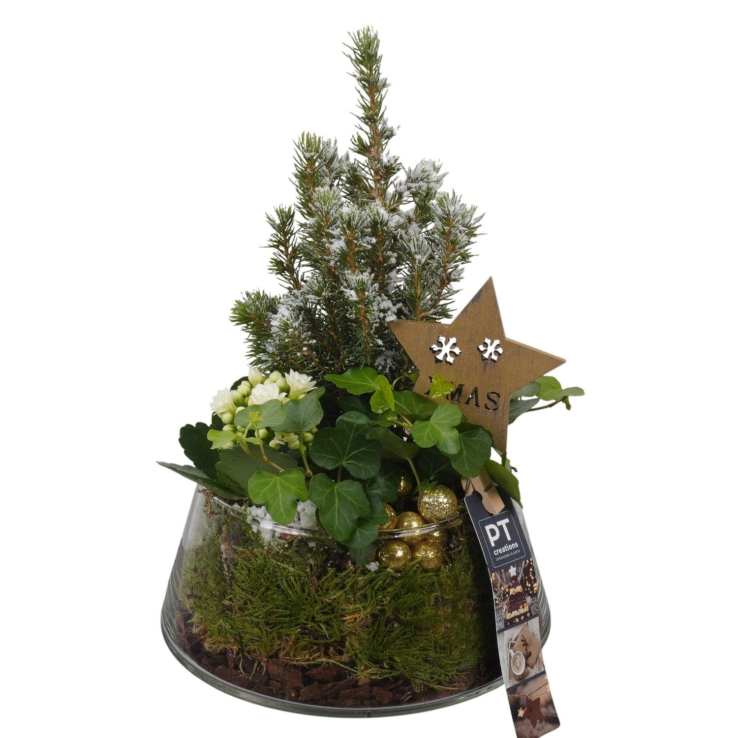 PTCHG5759 Arrangement Christmas Gold in glazen pot, D 18 cm