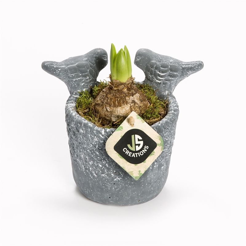 Cement vogelpotje grijs 12cm, D 12