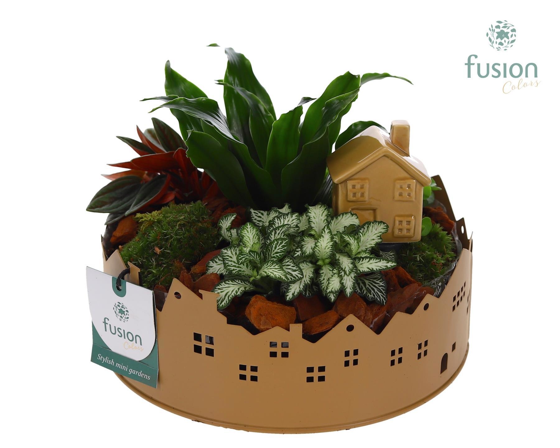 Zinken schaal Huisjes Medium met arrangement, D 19