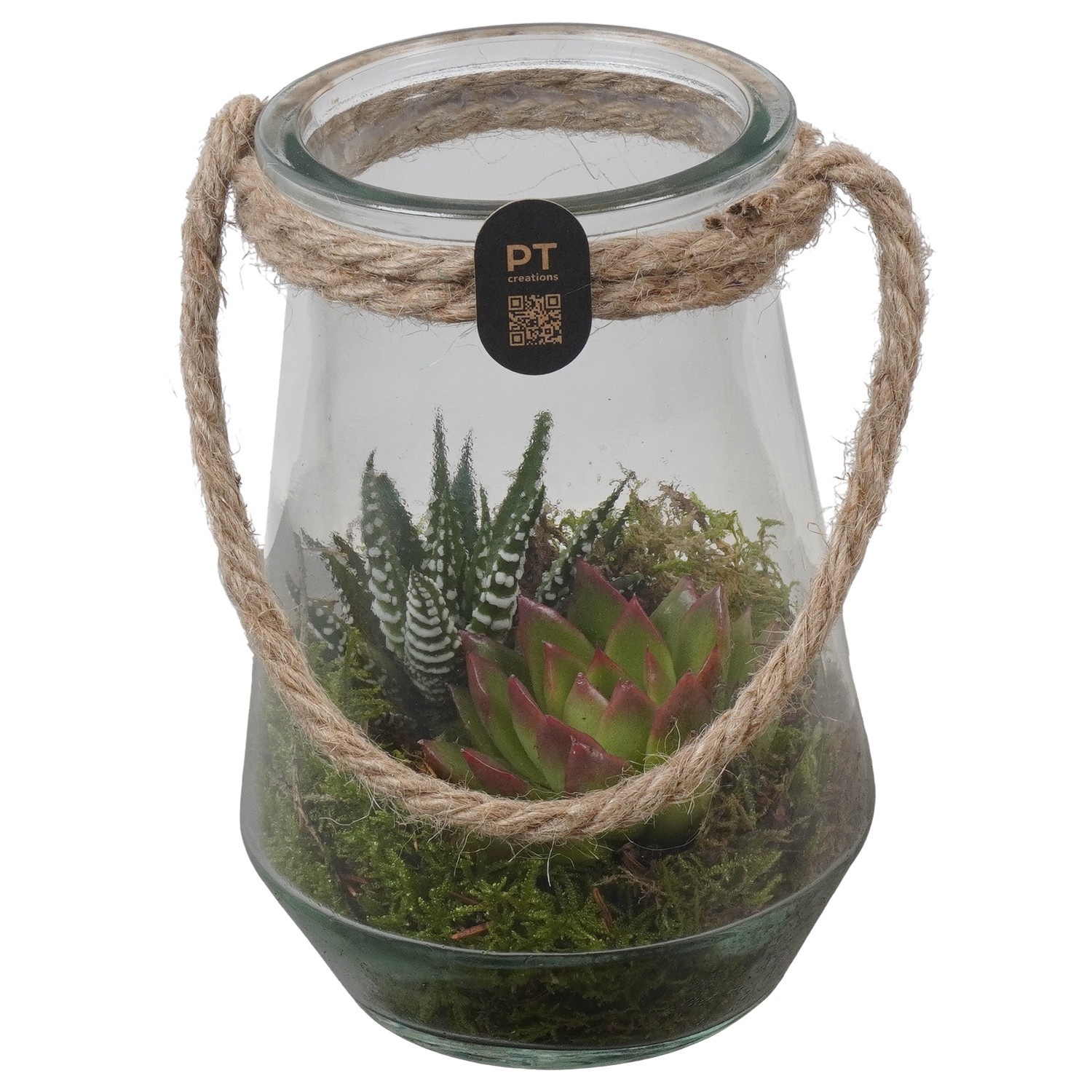 PTIG2711 Arrangement Indoor in glazen vaasje, D 12