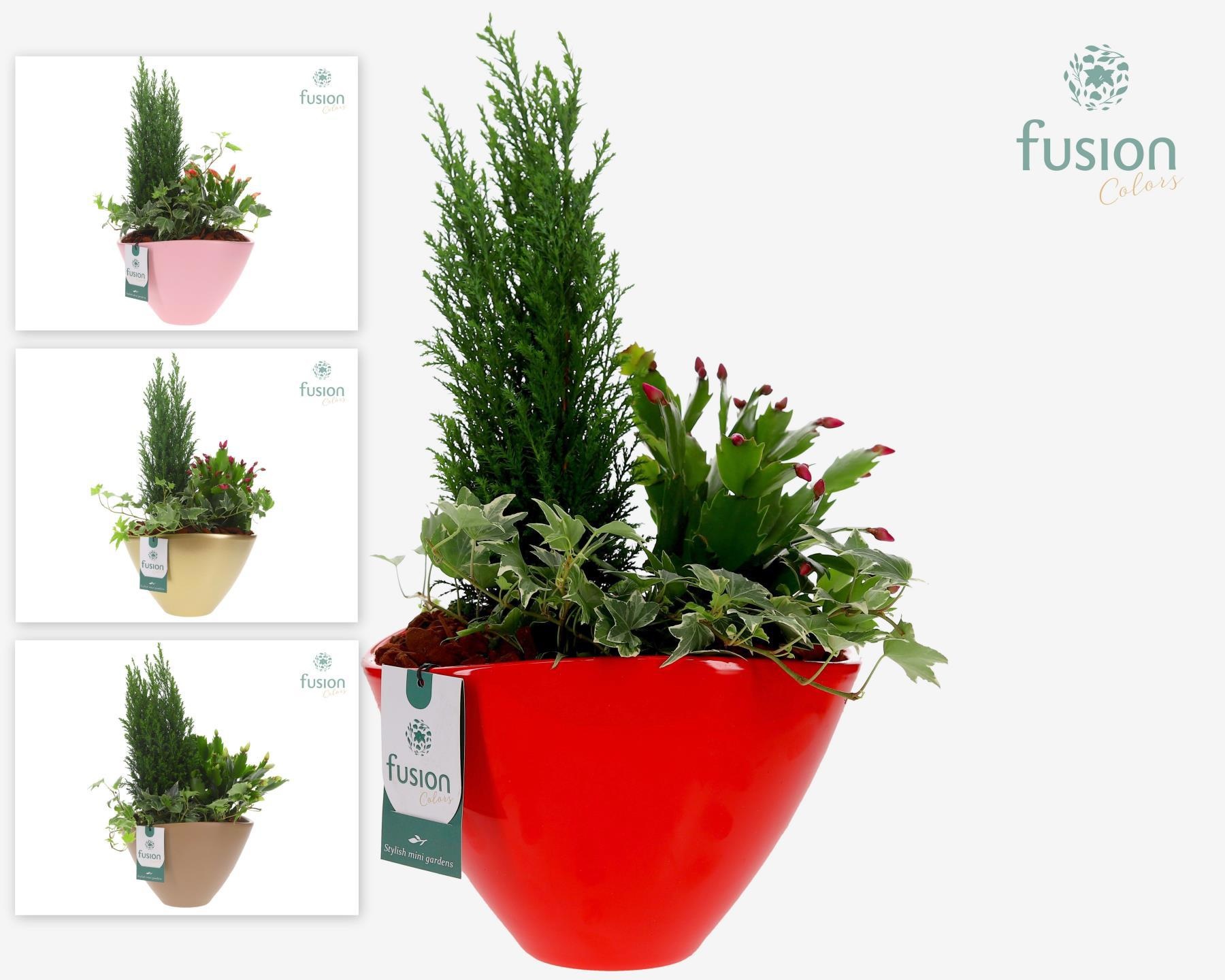 Pot keramiek oval Large met arrangement, D 23 cm Pot keramiek oval Large met arrangement, D 23 cm