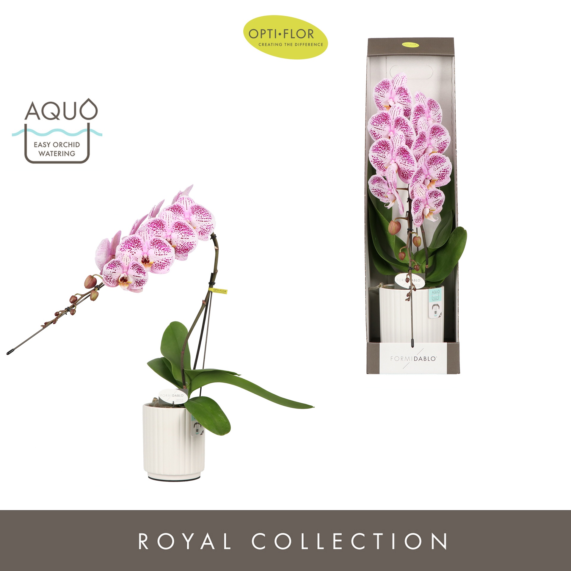 Formidablo Iguazu Falls in Molise White Aquo Showdoos, D 12