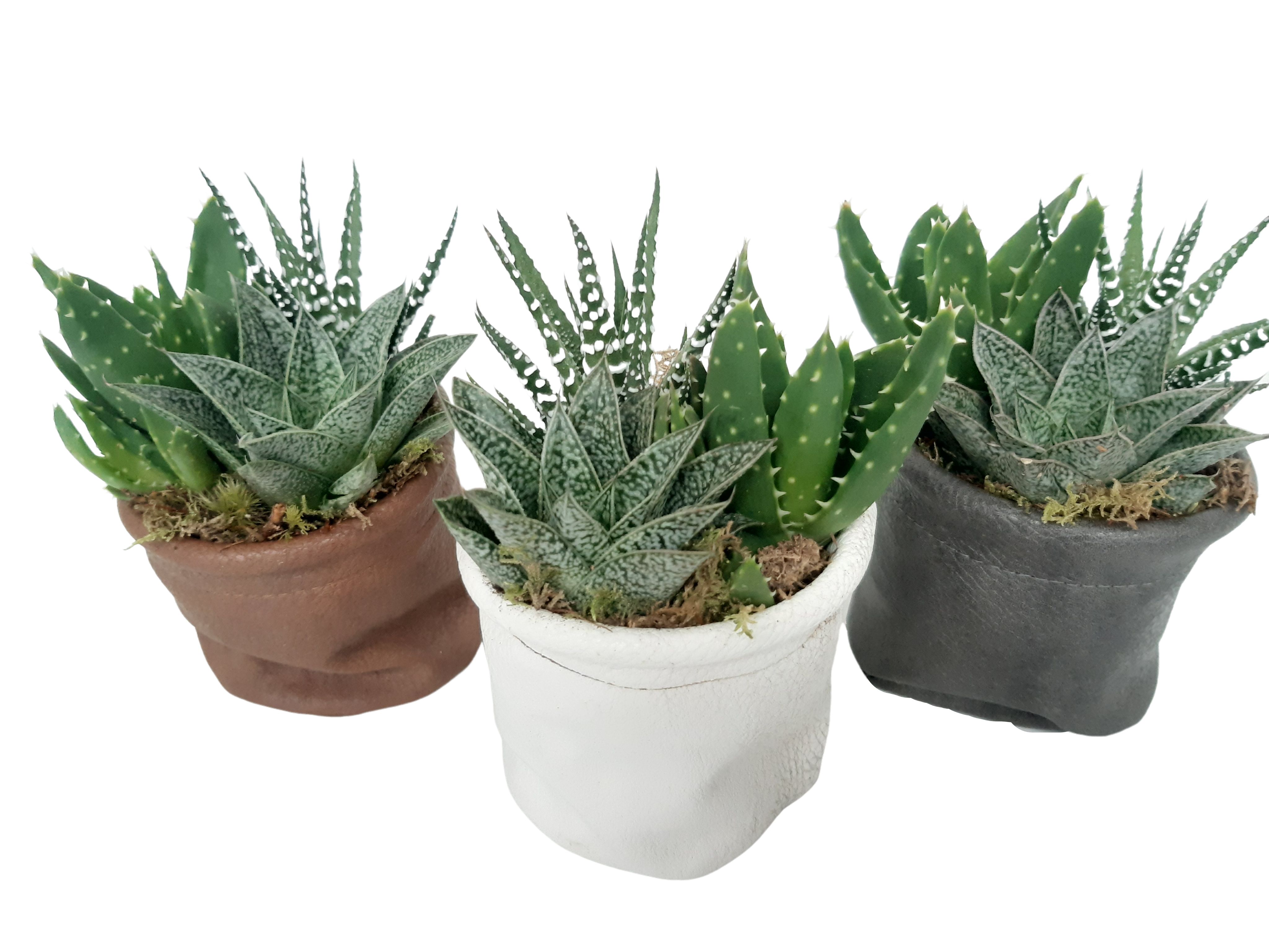 LB8GMX MiniLeather Bag White,Grey.Brown Groenmix, D 8