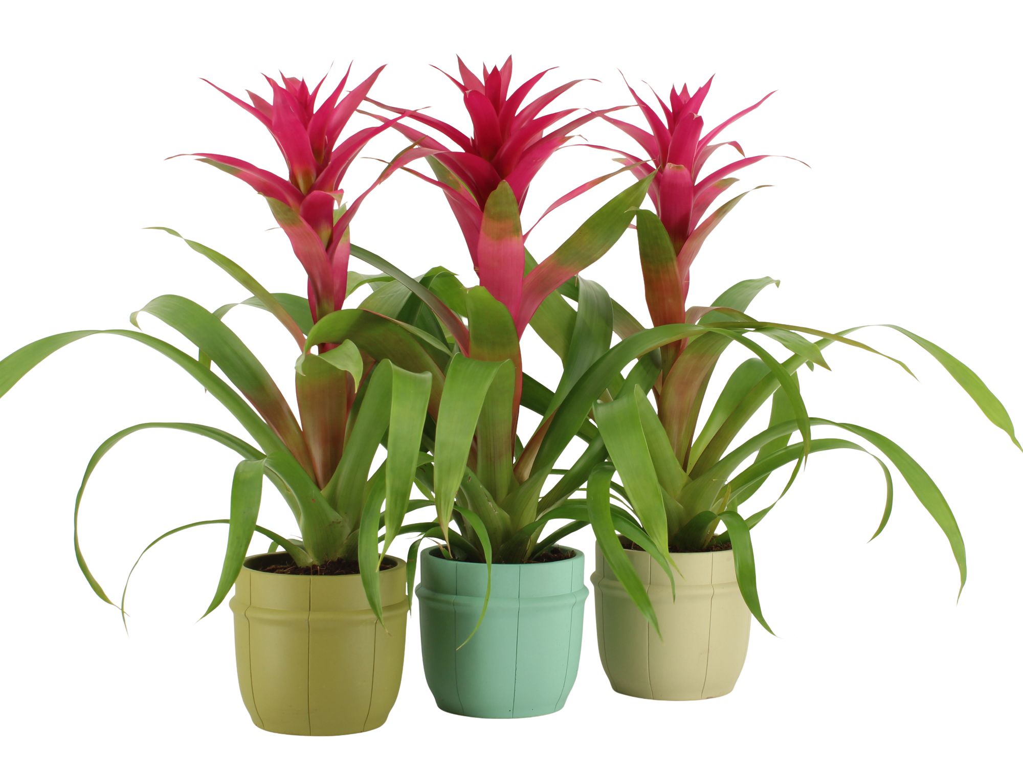 7501477: Solutionss Consideration, D 12