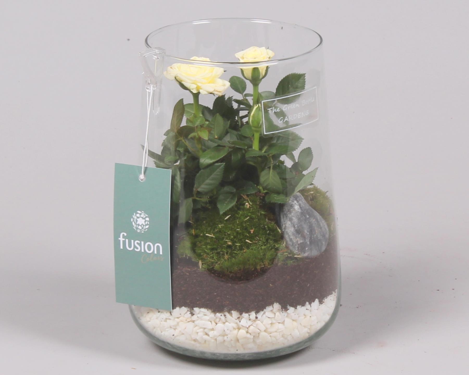 Green Bottle Deline Medium met Potroos, D 13