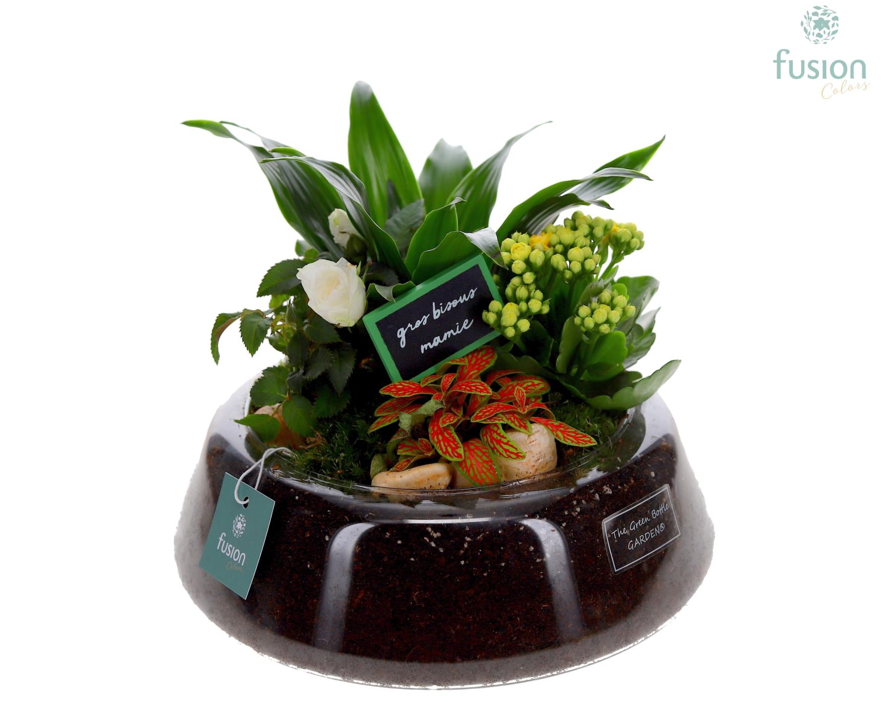 Green Bottle Christel Large Grootmoederdag met arrangement, D 24