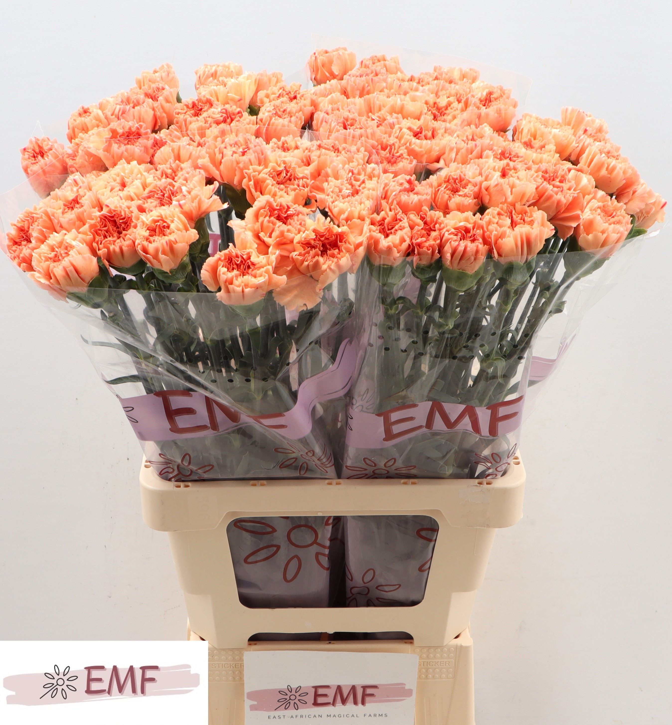 Диантус од. Тамаринд, шт. Диантус од. Тамаринд, шт.