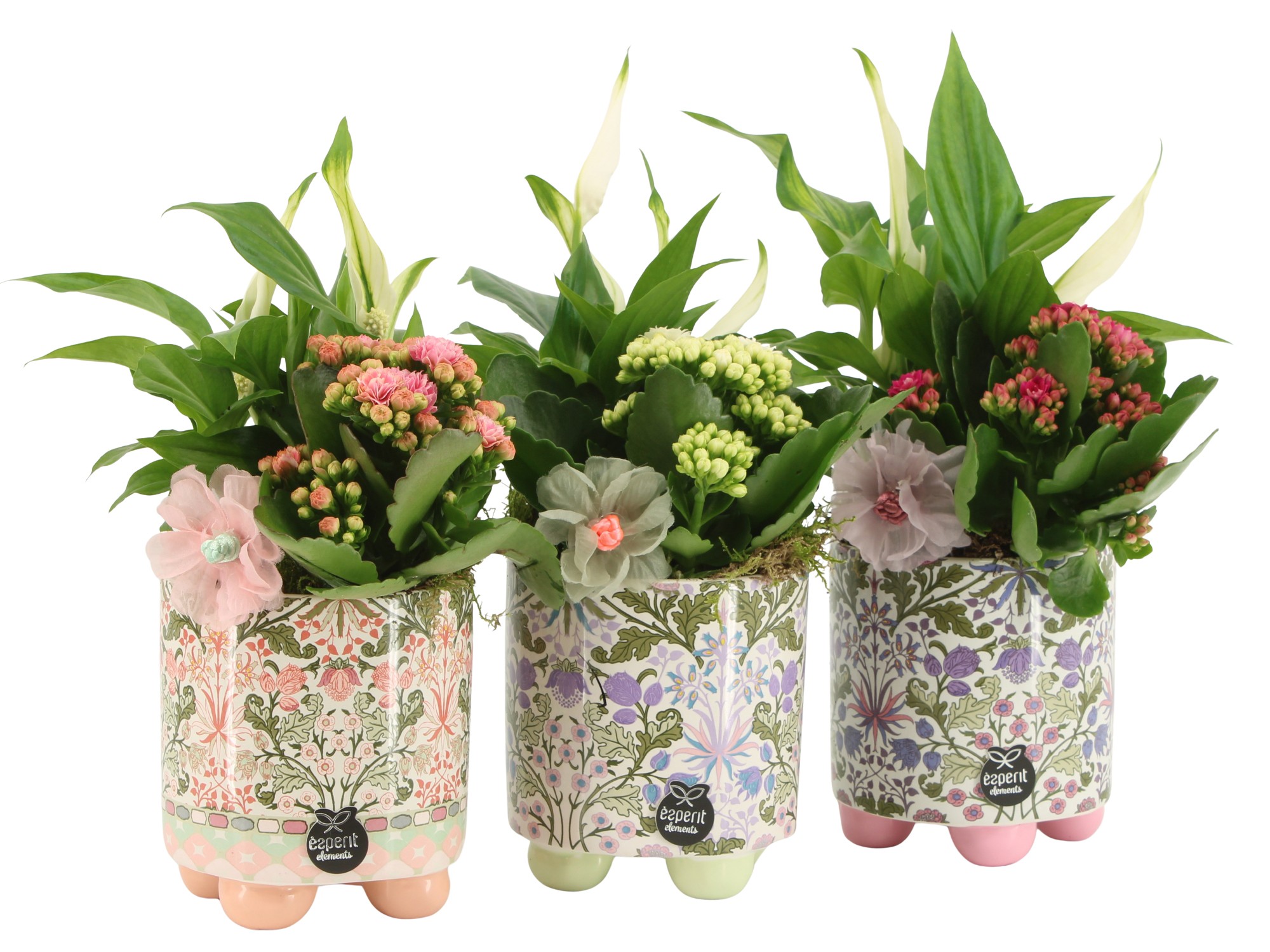 21901: Contradiction arrangement, D 10