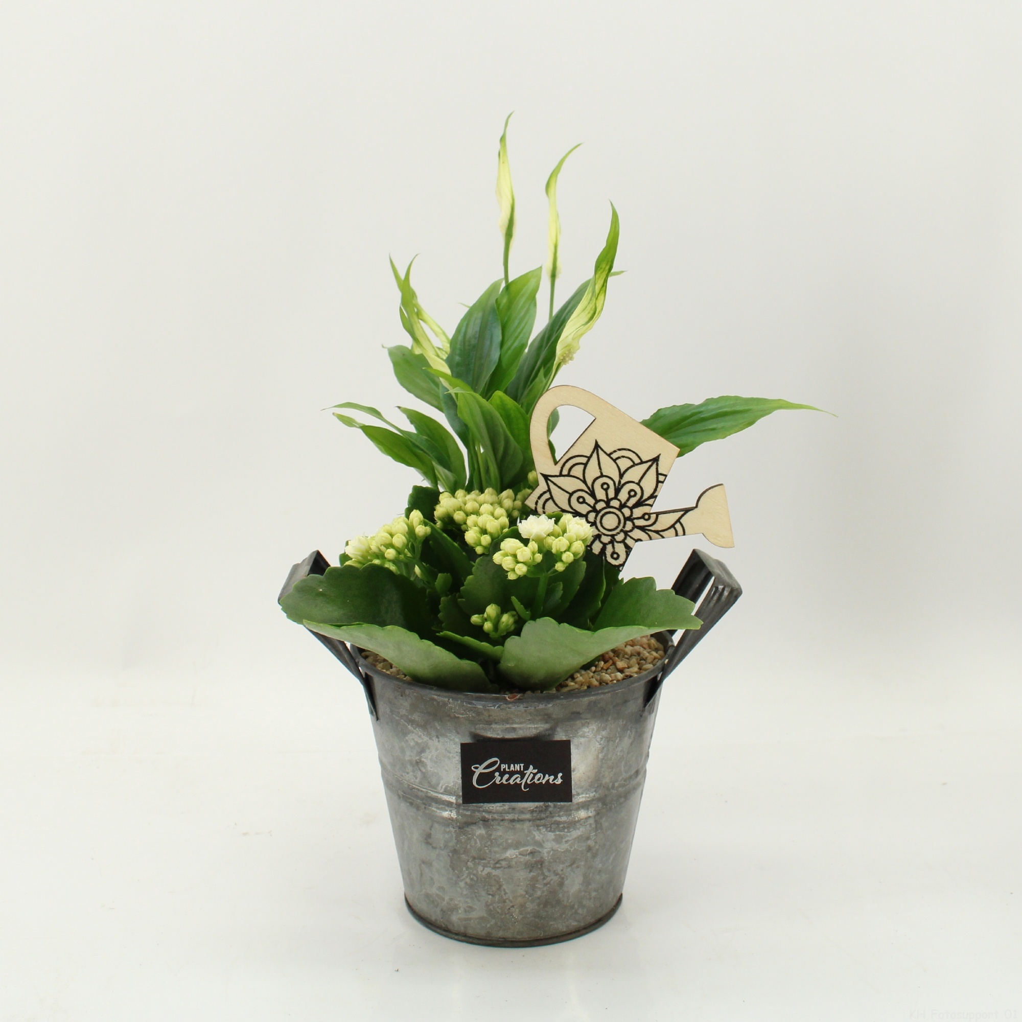 FDCR-2613W Basic Fundamentals, D 14