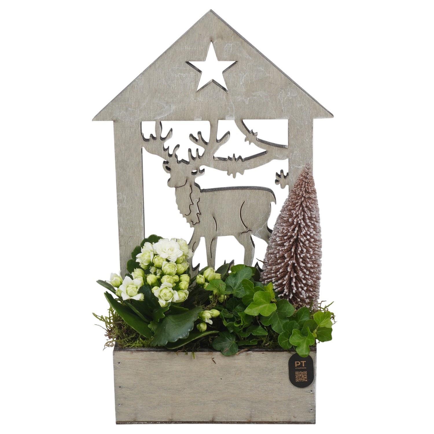 PTCHB5860 Arrangement Christmas Bronze in houten bak, D 16
