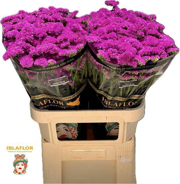 Статица Дарк Пинк Шарм 80, шт.