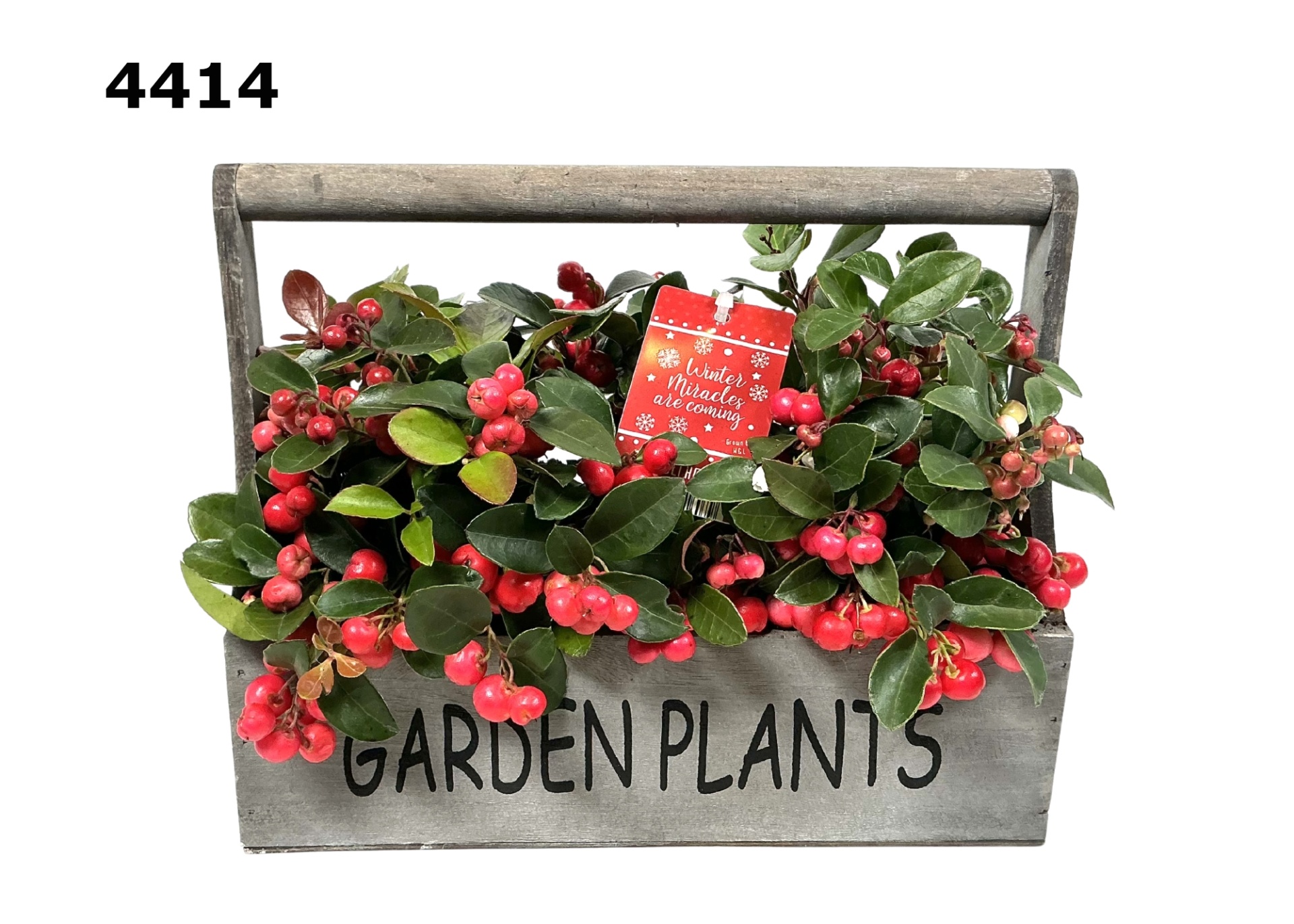 Hengselkist L gaultheria, D 26 cm