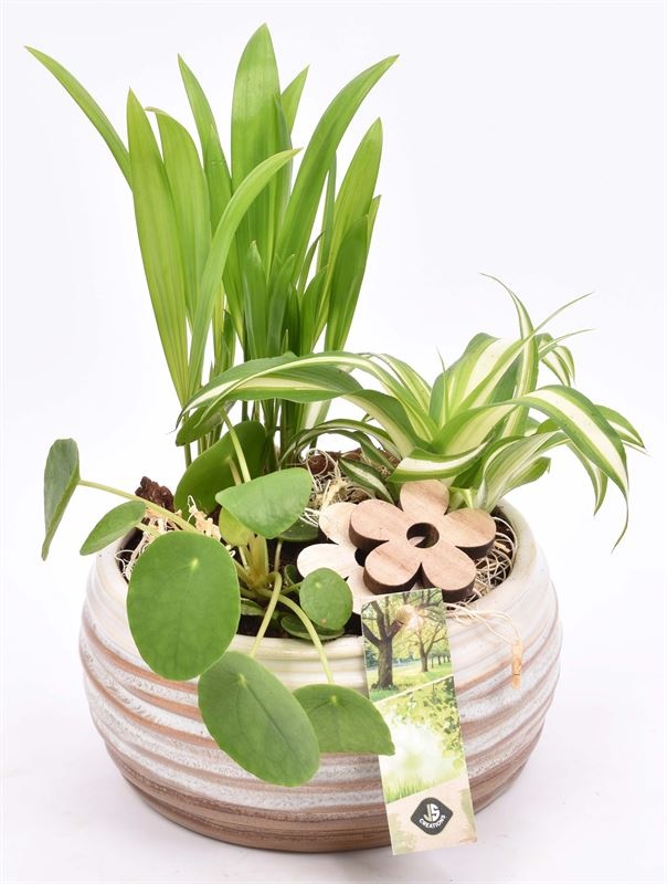 Keramiek schaal bruin/creme 16cm, D 17