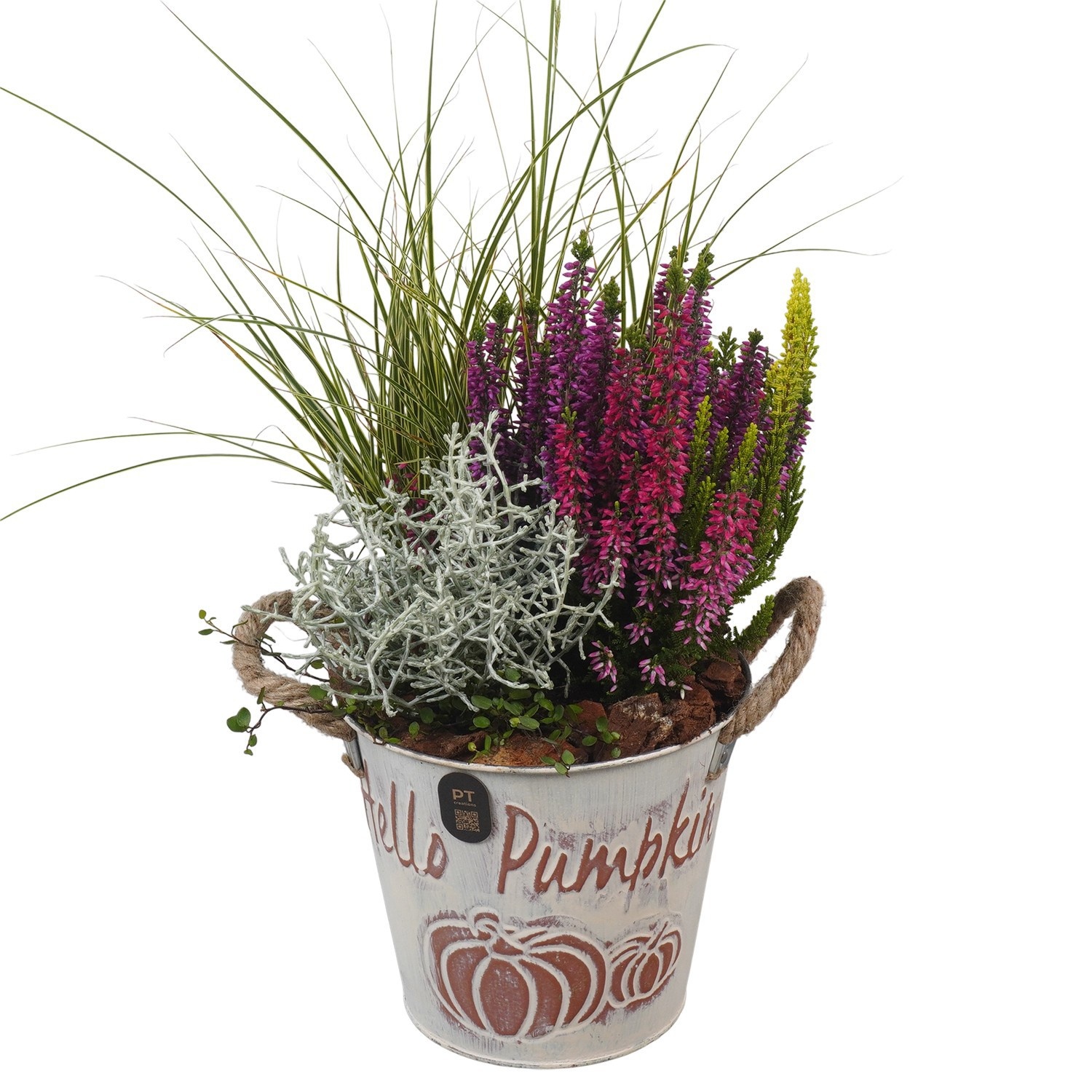PTHO7556 Arrangement Autumn Outdoor in metalen pot, D 16