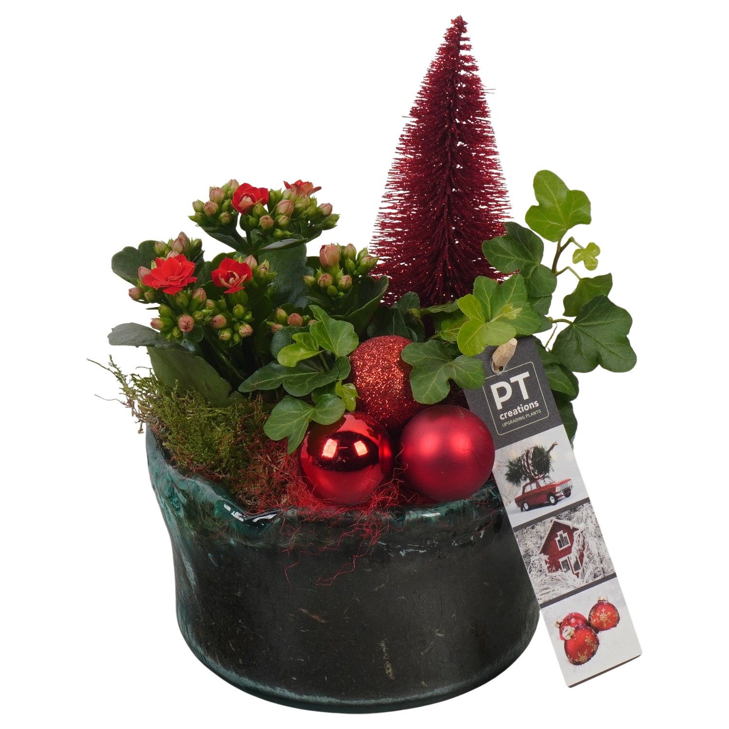 PTCHR7436 Arrangement Christmas Red in glas schaal, D 15 cm