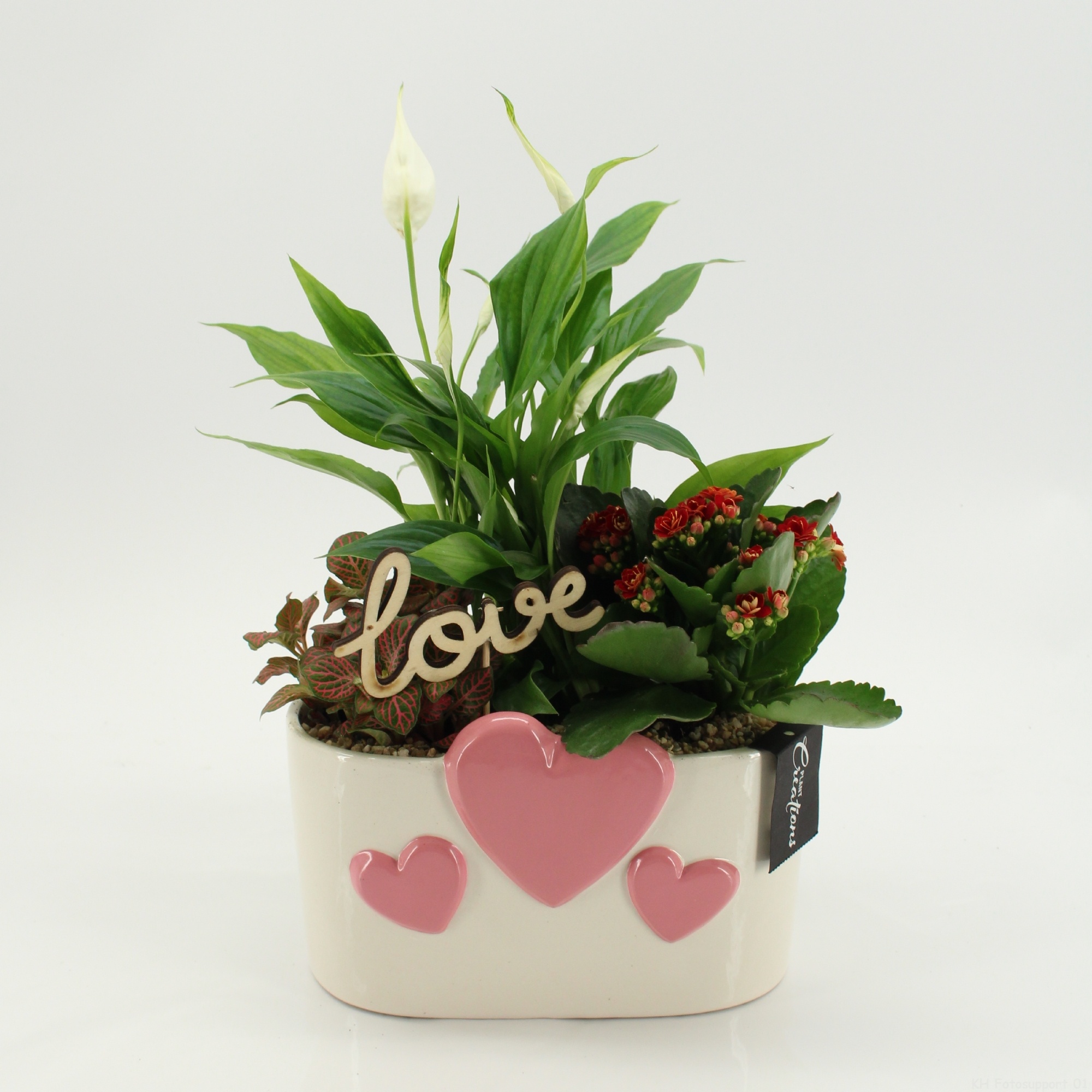 RMCR-2618R Romantic Essentials, D 20