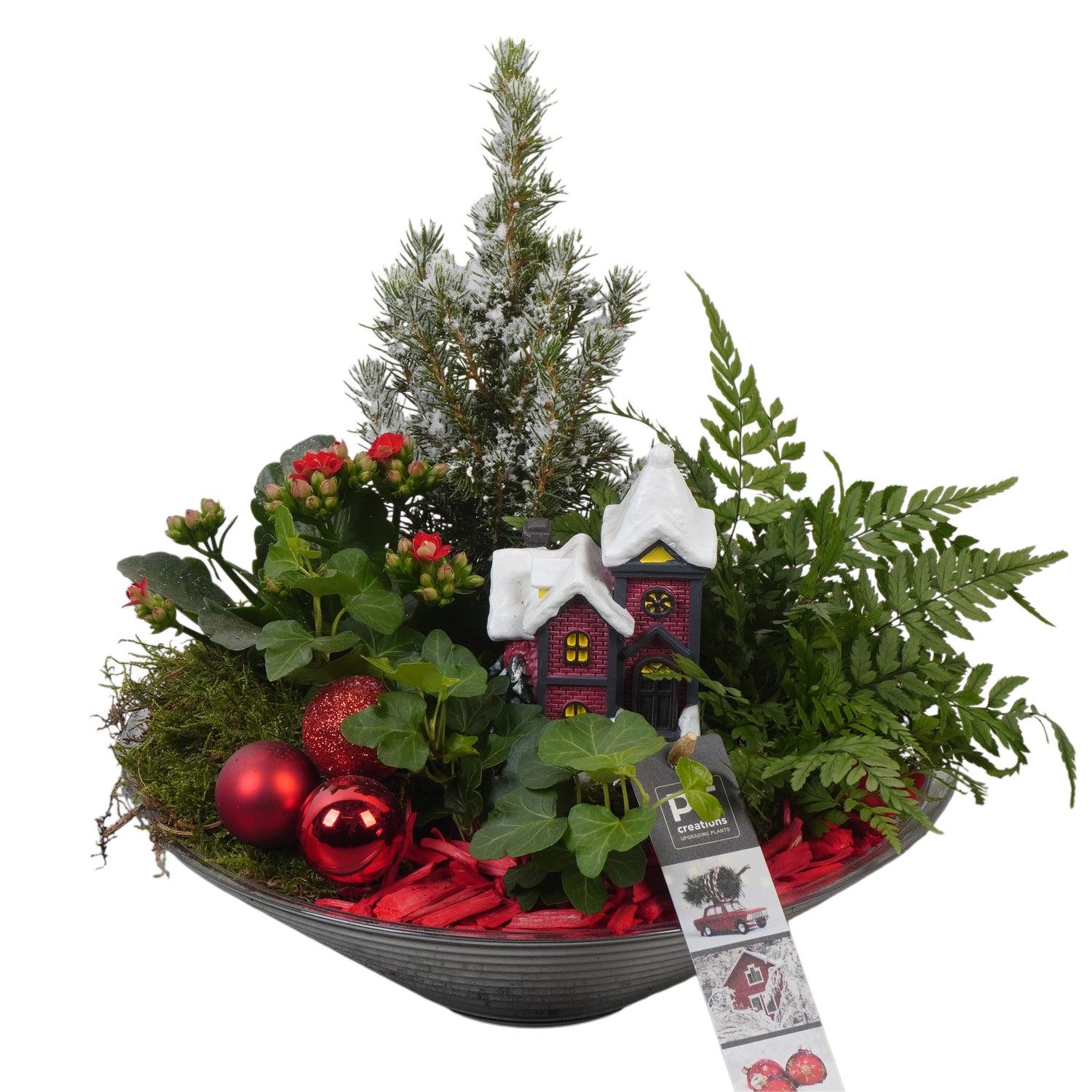PTCHR7432 Arrangement Christmas Red in glas schaal, D 26 cm