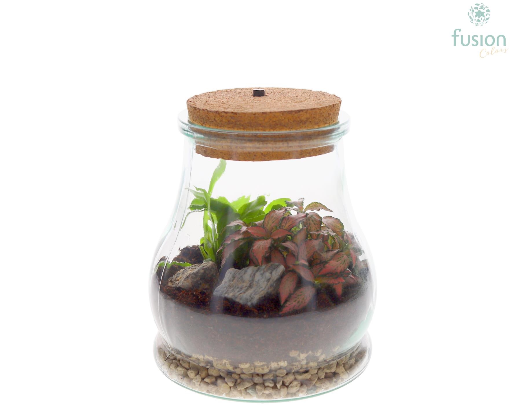 Terrarium Druppel met LED verlichting met arrangement, D 15
