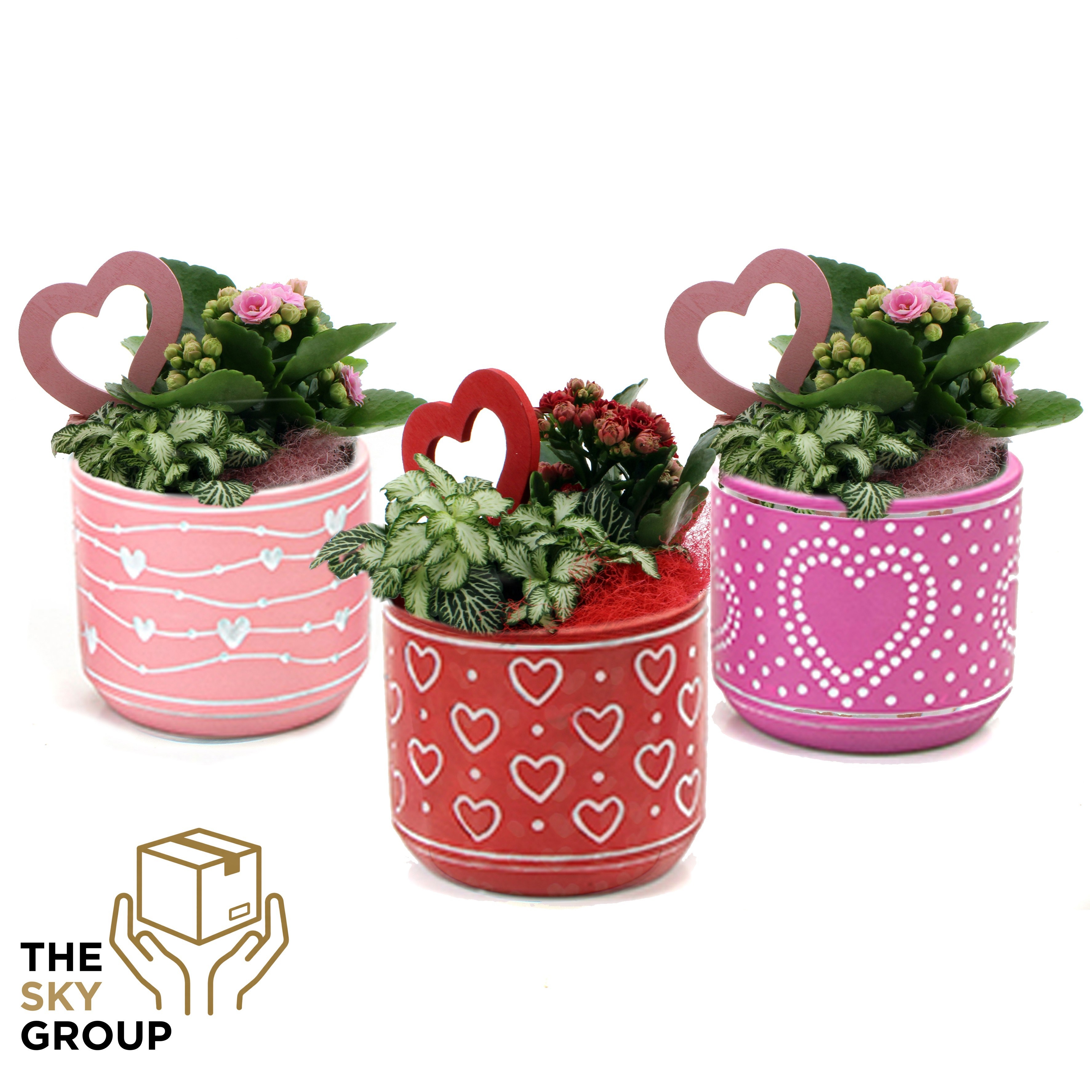 Arrangement 2 planten in beton pot Love ( 3 assorti ), D 12