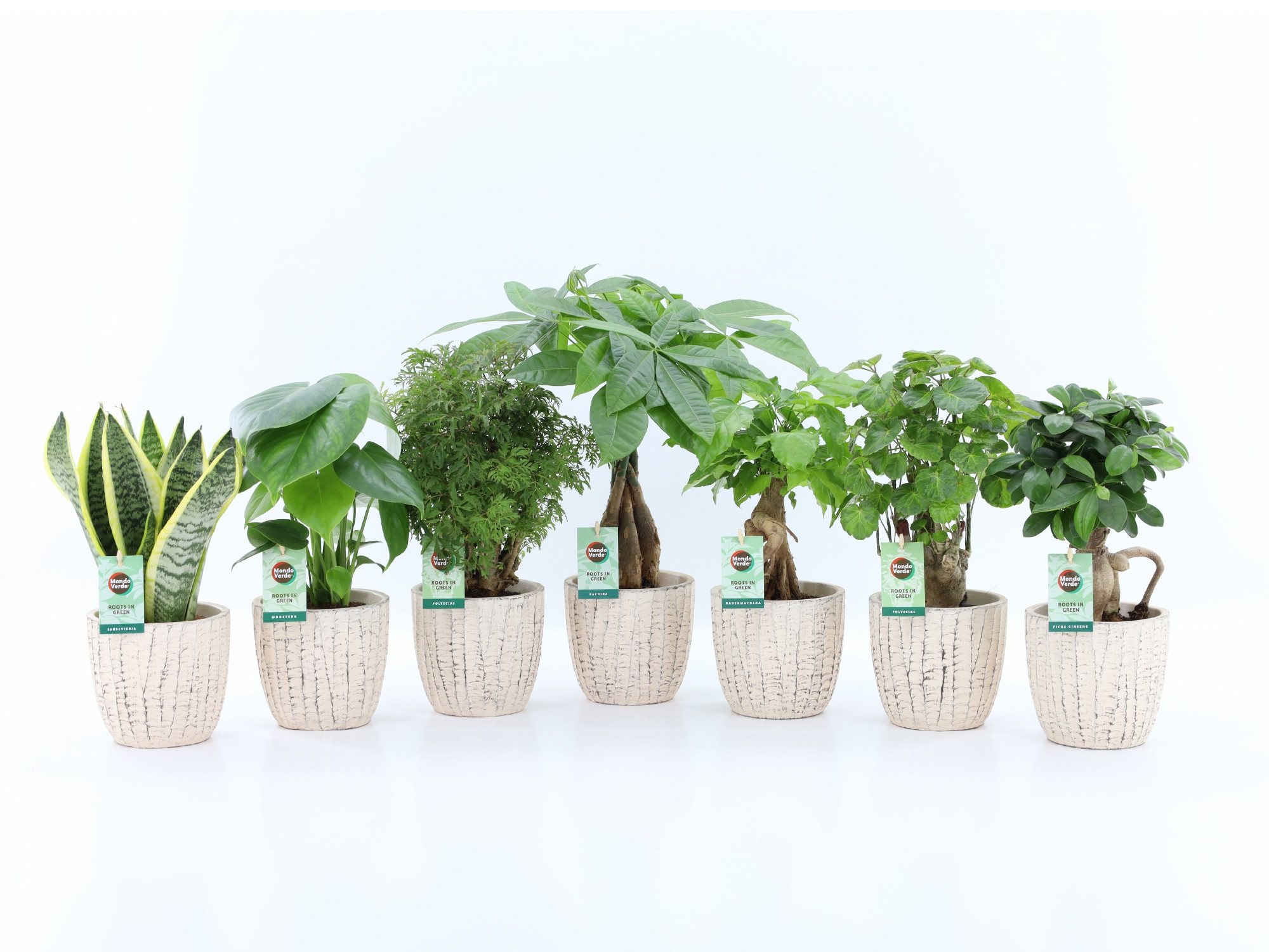 Exotic Green Mix in Sculpture keramiek, D 13